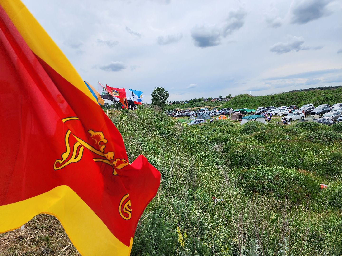 экстремальный забег с собаками, crazy dog race, хвостатый драйв, старая купавна, богородский городской округ,