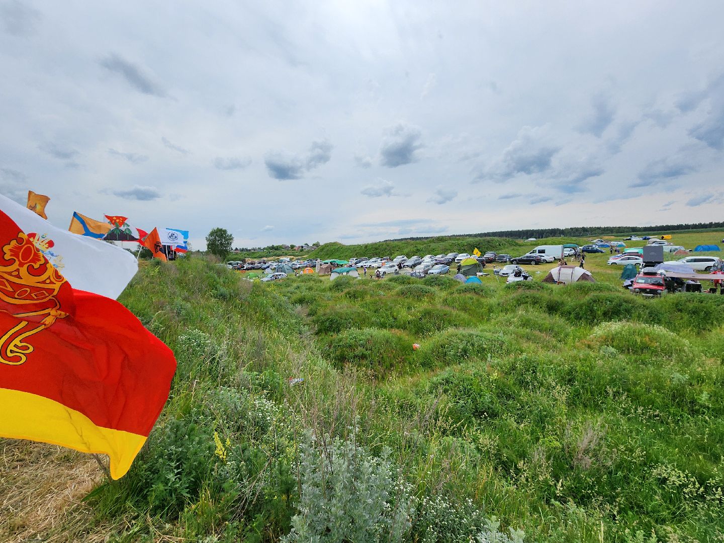 экстремальный забег с собаками, crazy dog race, хвостатый драйв, старая купавна, богородский городской округ,