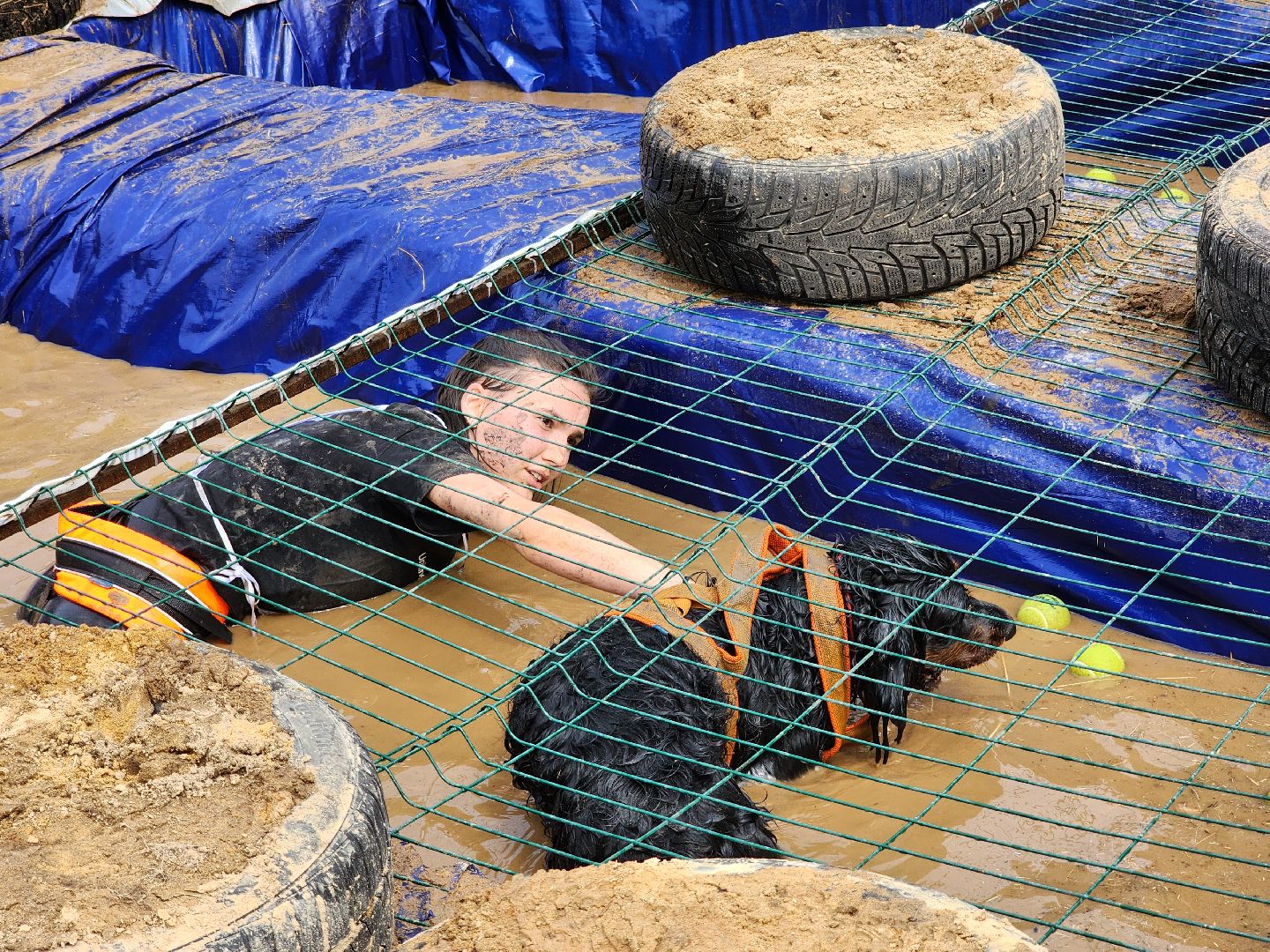 экстремальный забег с собаками, crazy dog race, хвостатый драйв, старая купавна, богородский городской округ,