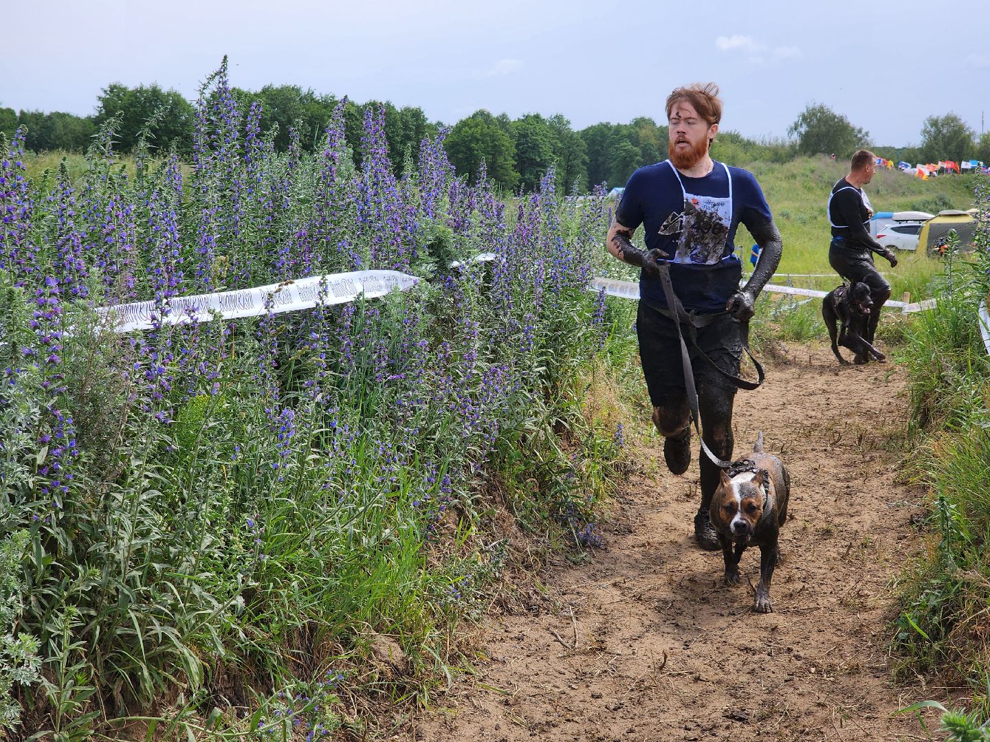 экстремальный забег с собаками, crazy dog race, хвостатый драйв, старая купавна, богородский городской округ,