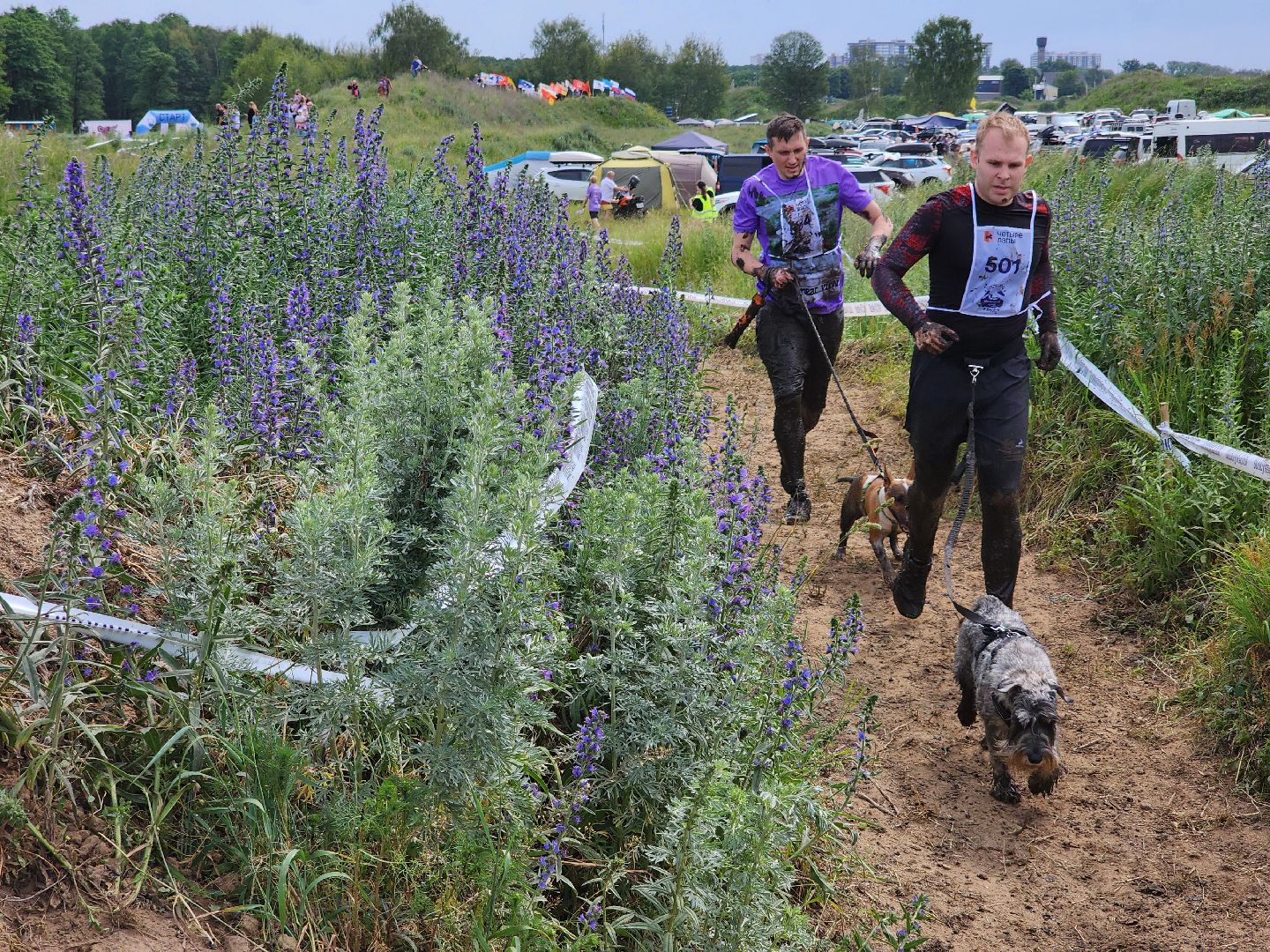 экстремальный забег с собаками, crazy dog race, хвостатый драйв, старая купавна, богородский городской округ,
