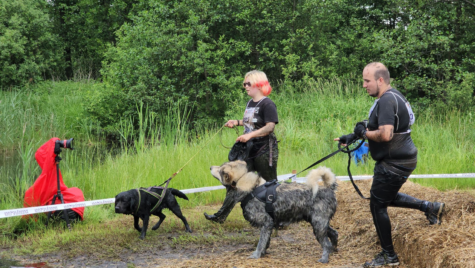 экстремальный забег с собаками, crazy dog race, хвостатый драйв, старая купавна, богородский городской округ,