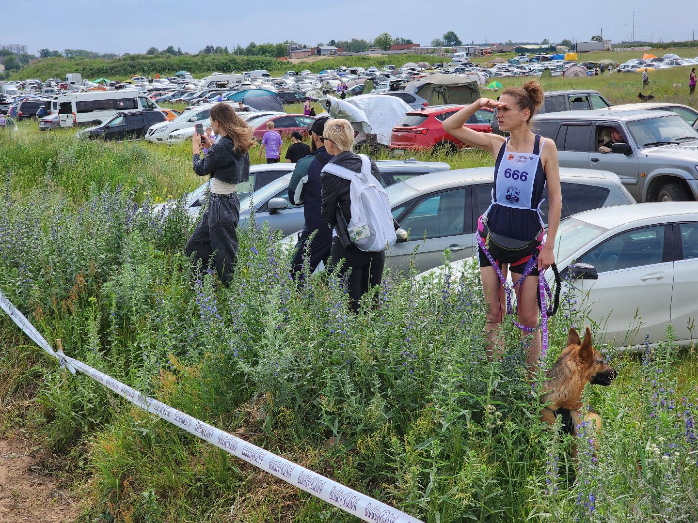 экстремальный забег с собаками, crazy dog race, хвостатый драйв, старая купавна, богородский городской округ,