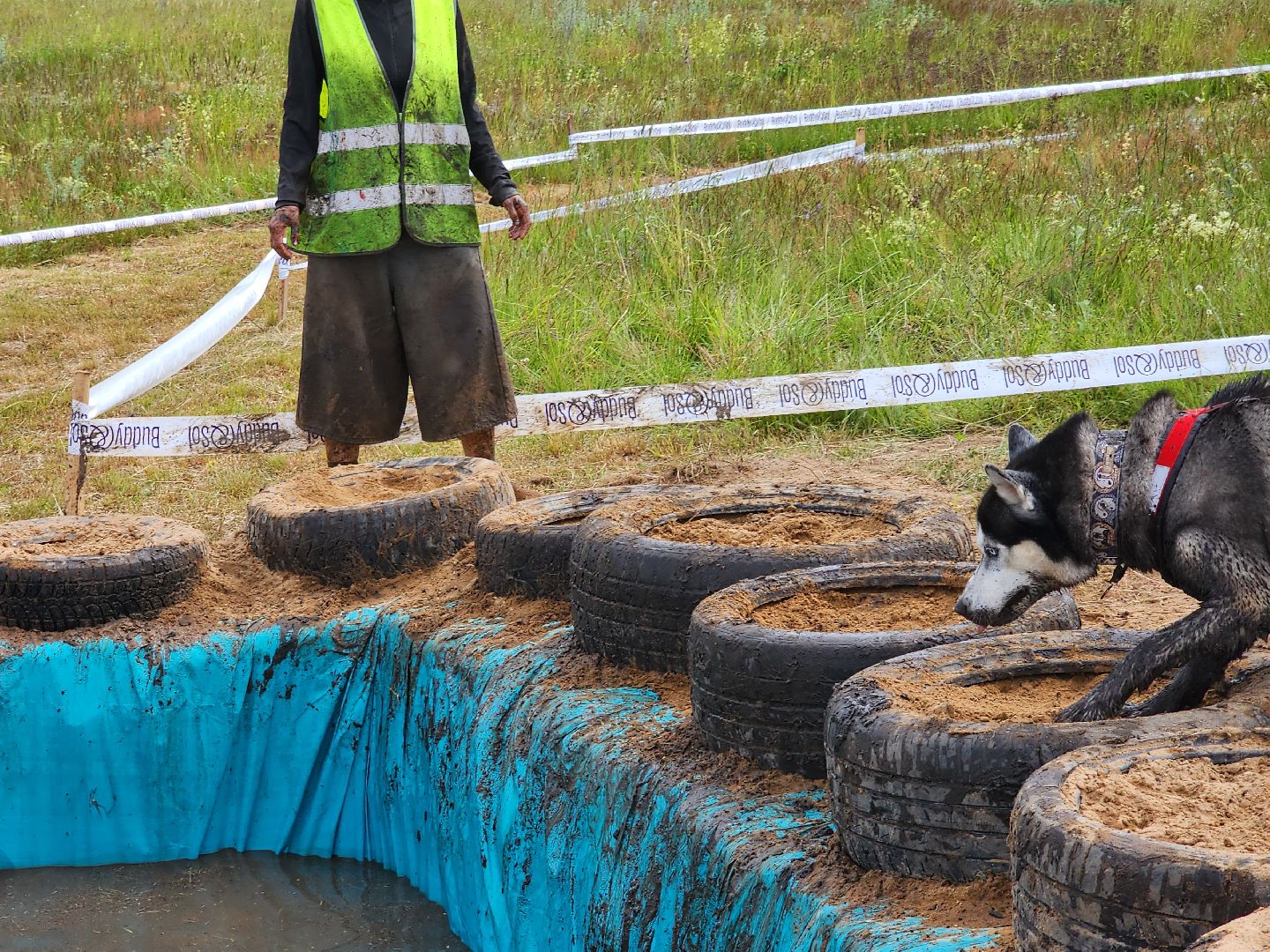 экстремальный забег с собаками, crazy dog race, хвостатый драйв, старая купавна, богородский городской округ,