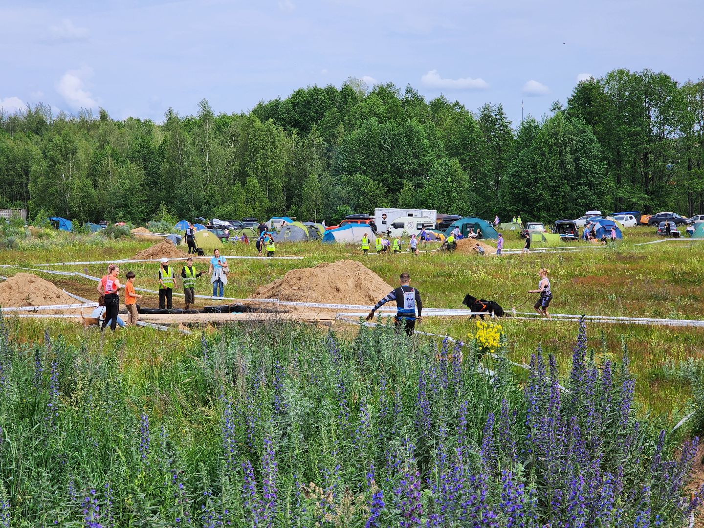 экстремальный забег с собаками, crazy dog race, хвостатый драйв, старая купавна, богородский городской округ,