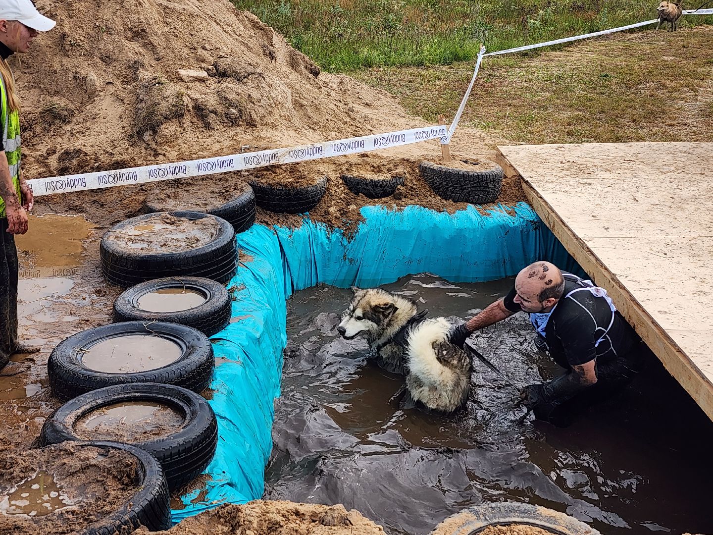 экстремальный забег с собаками, crazy dog race, хвостатый драйв, старая купавна, богородский городской округ,