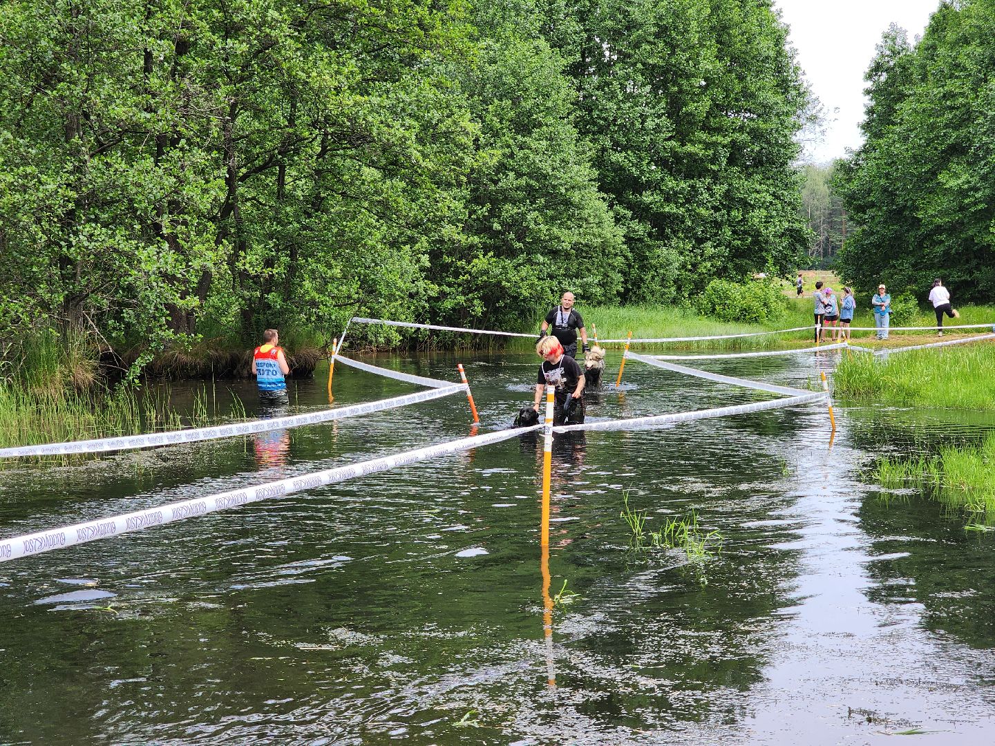 экстремальный забег с собаками, crazy dog race, хвостатый драйв, старая купавна, богородский городской округ,