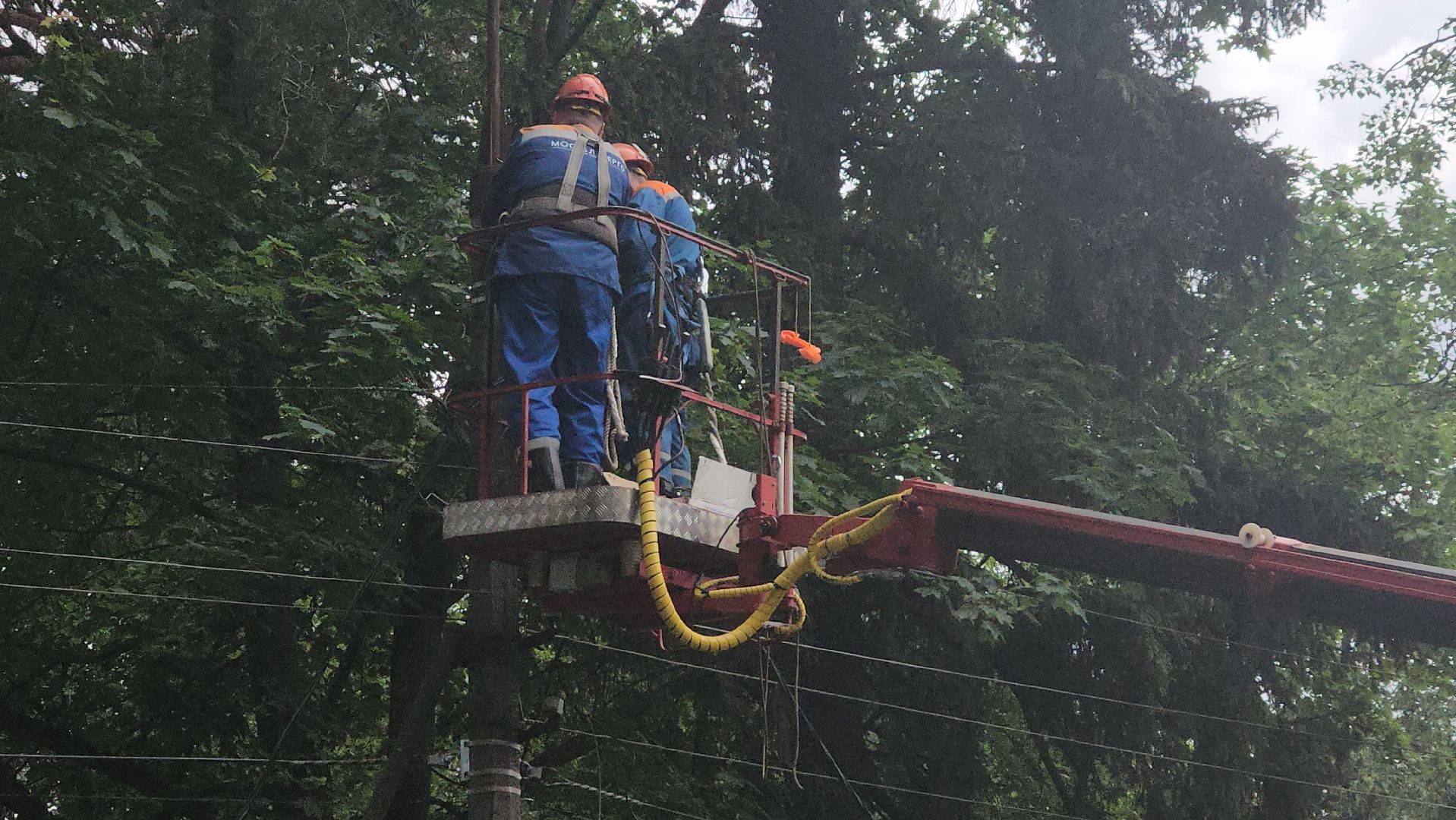 пушкино, вертикалки, мособлэнерго, замена инженерных сетей,электроэнергия, опоры уличного освещения,