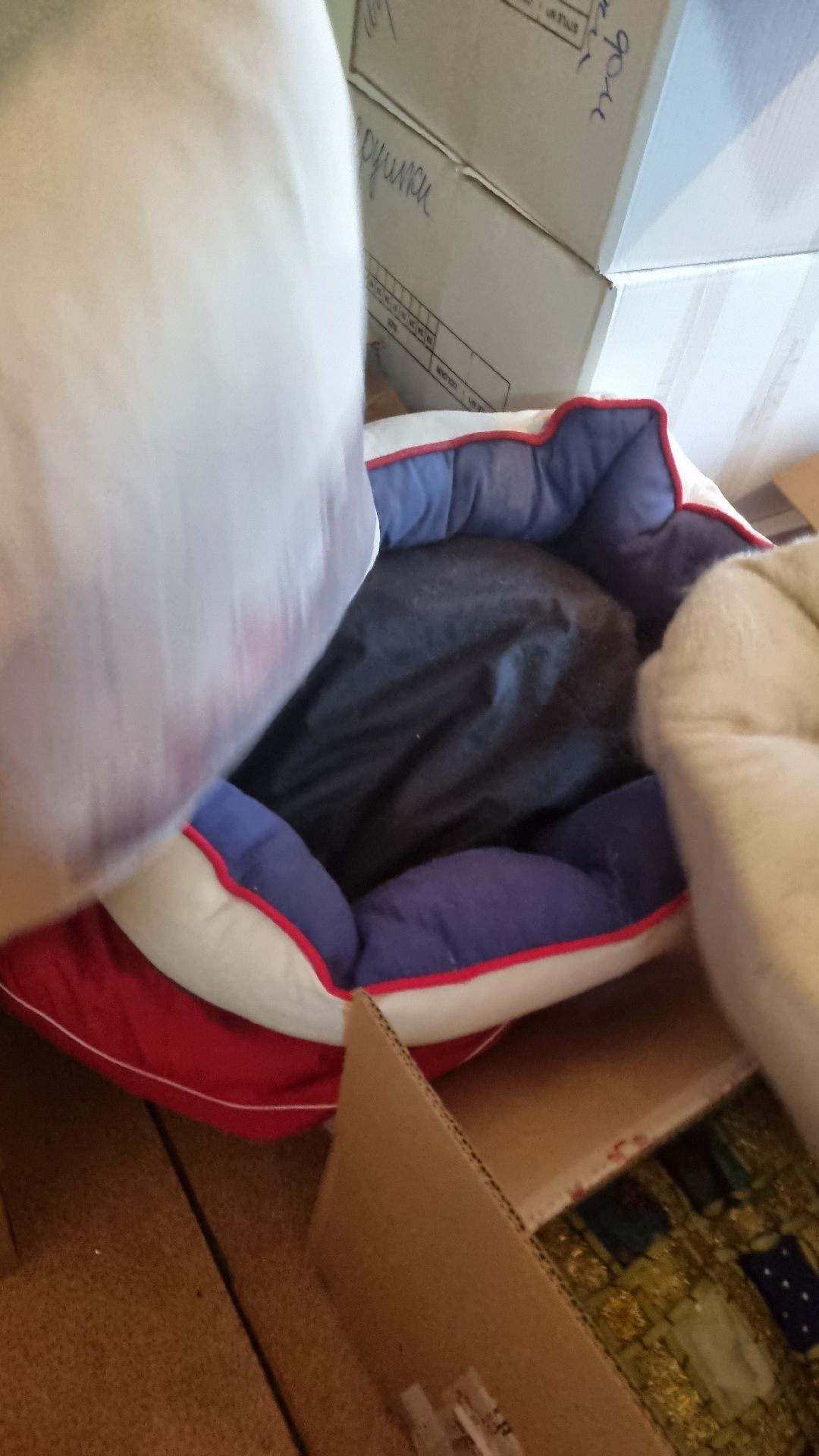 Ивантеевка