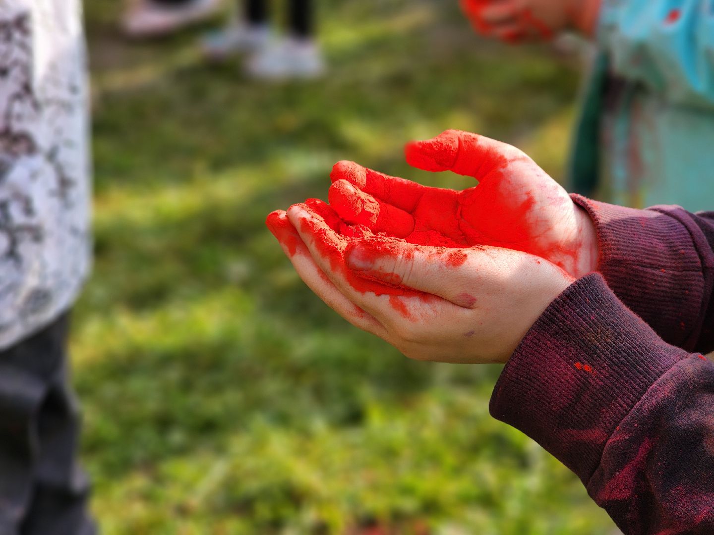 усадьба гребнево, фестиваль красок, праздник,