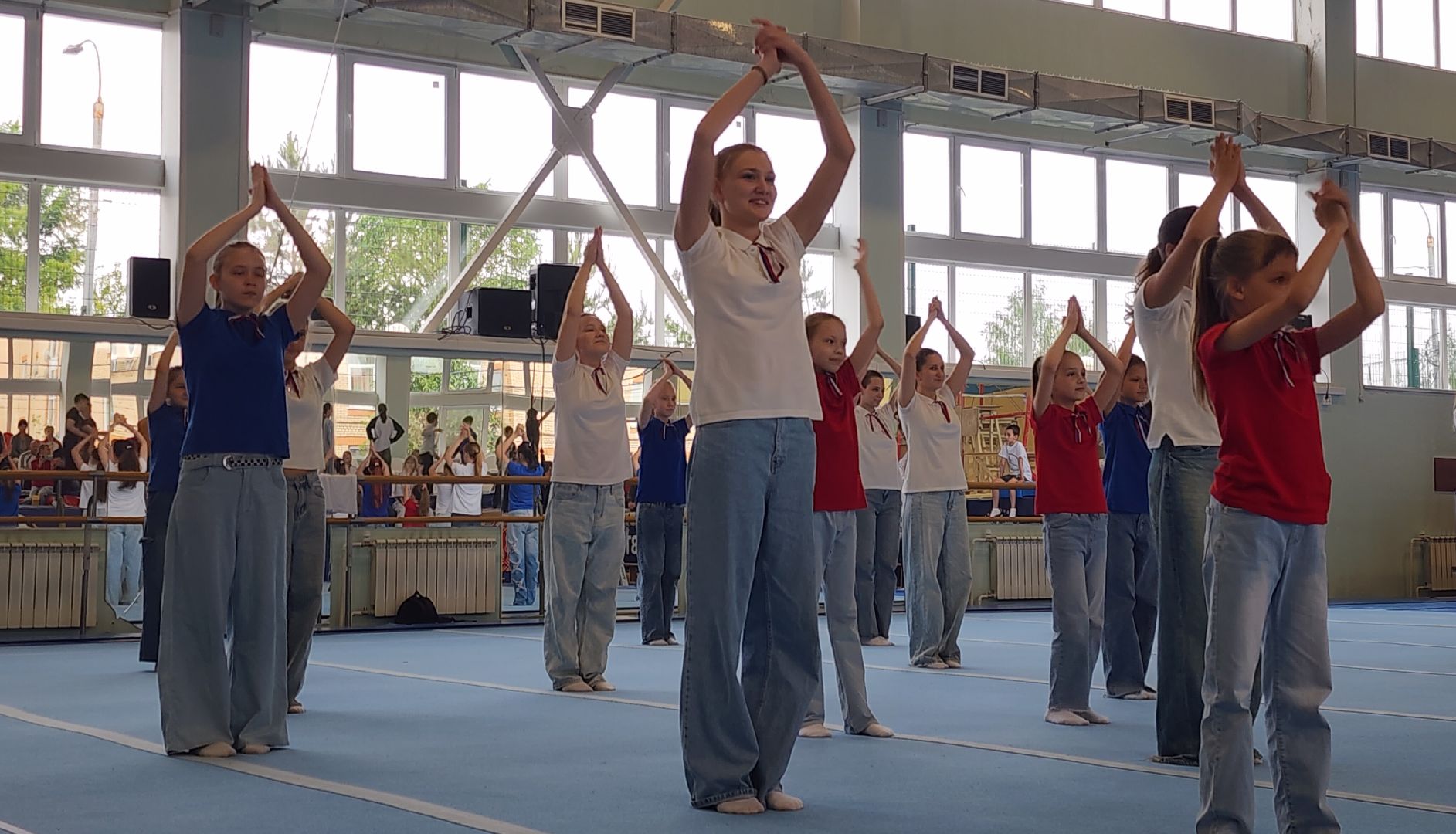 Спорт, Гимнастическая премьер-лига , Гимнастика , Спортивный Звенигород ,