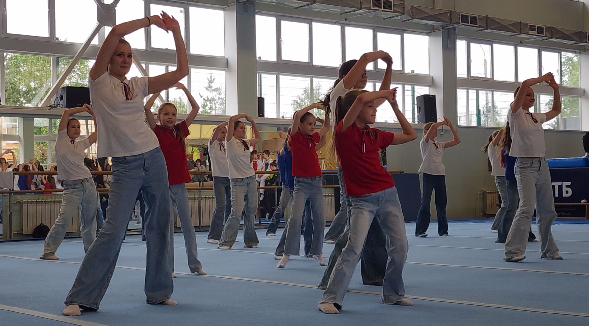 Спорт, Гимнастическая премьер-лига , Гимнастика , Спортивный Звенигород ,