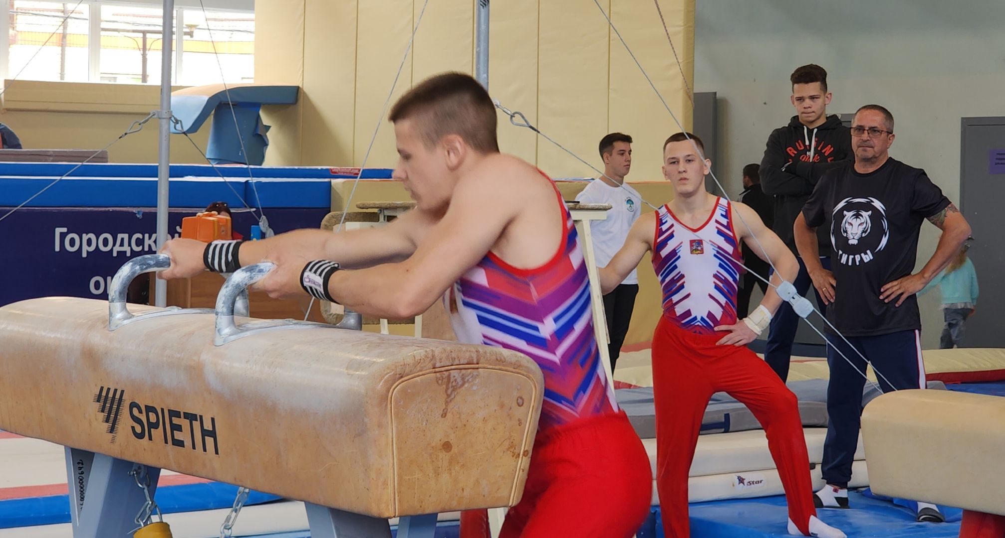 Спорт, Гимнастическая премьер-лига , Гимнастика , Спортивный Звенигород ,