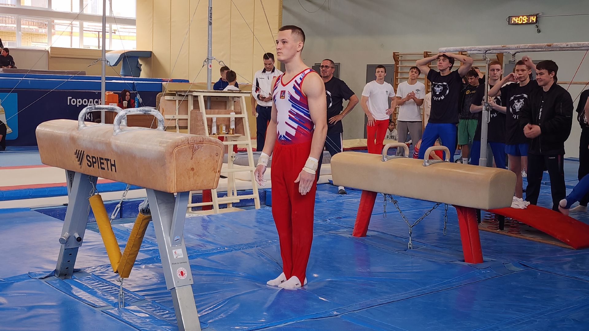 Спорт, Гимнастическая премьер-лига , Гимнастика , Спортивный Звенигород ,