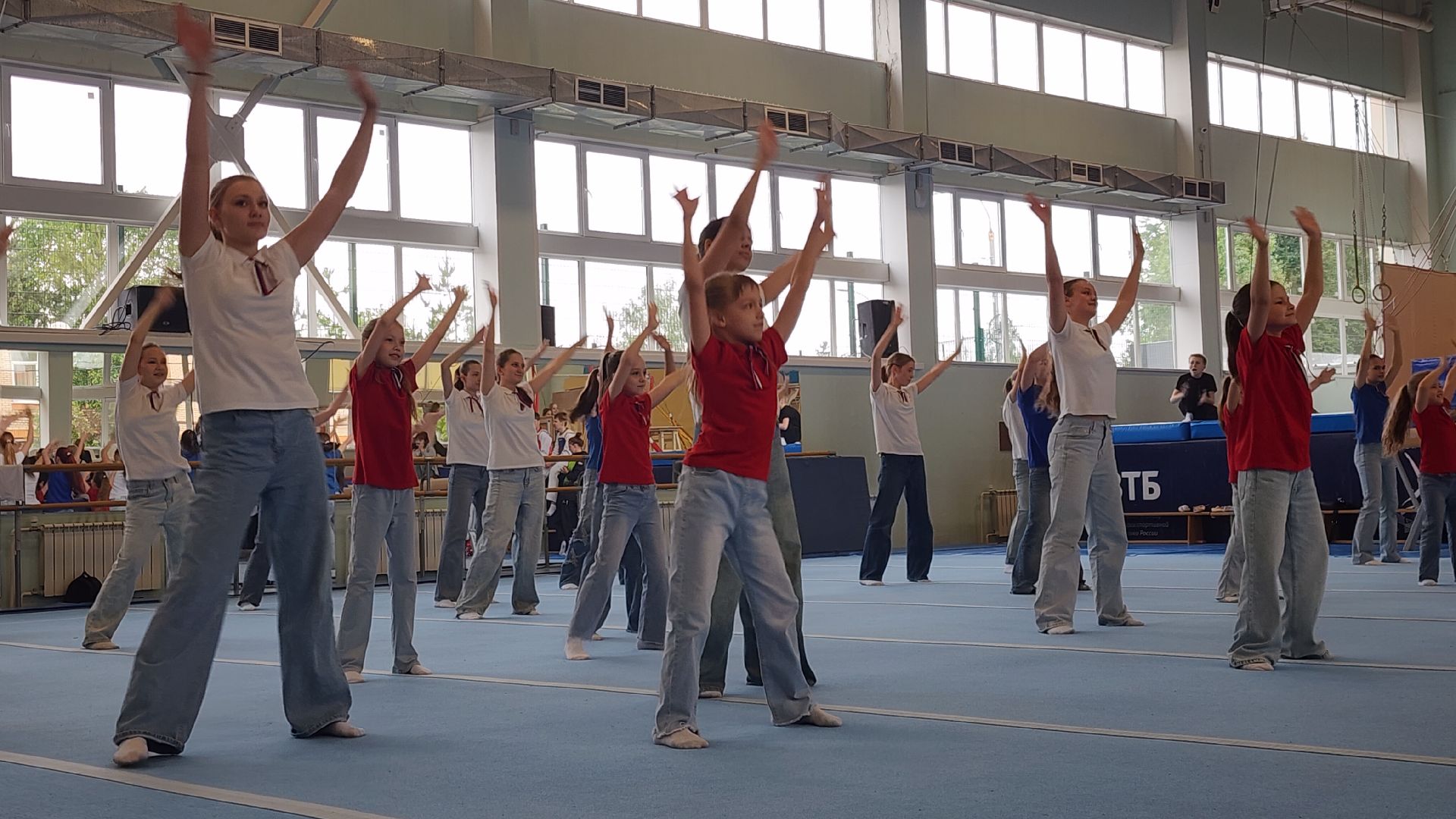 Спорт, Гимнастическая премьер-лига , Гимнастика , Спортивный Звенигород ,