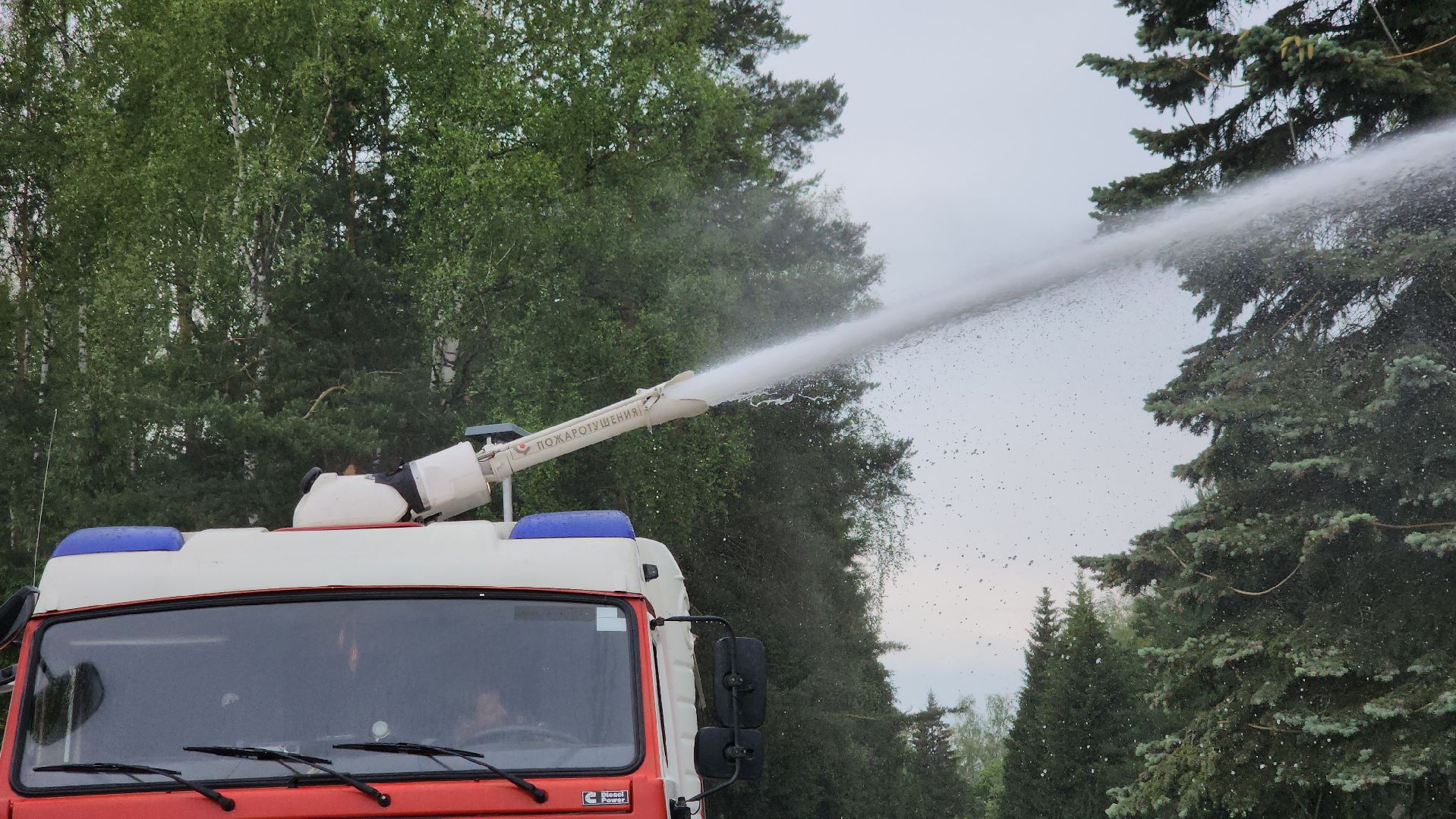 детский лагерь, мчс, пожарная безопасность, щёлково,