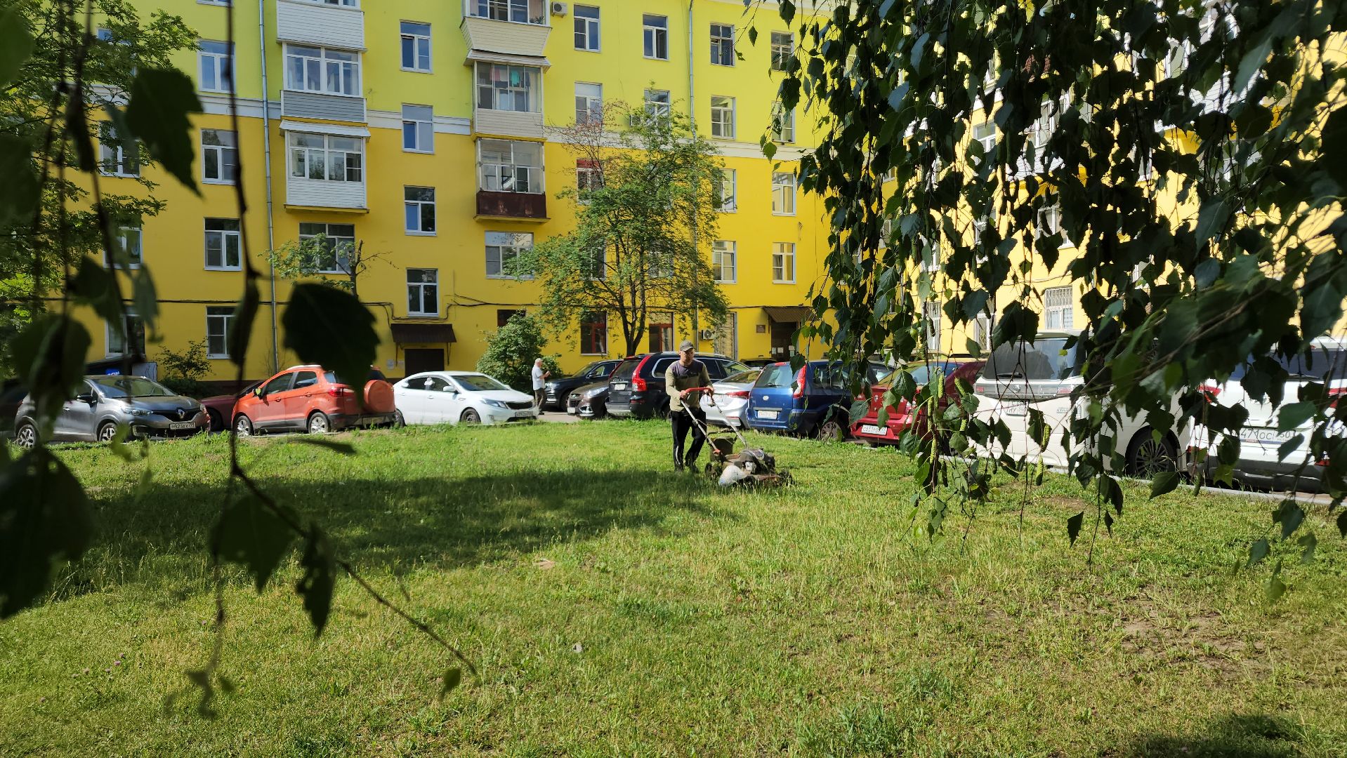 ступино, благоустройство, окос травы,