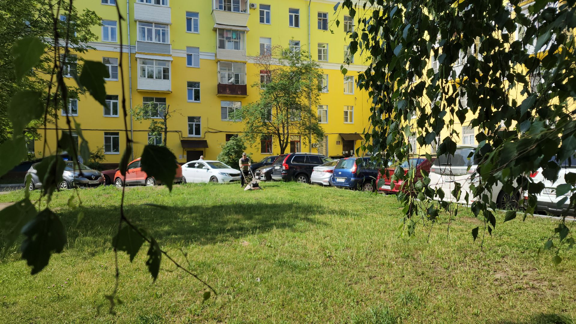 ступино, благоустройство, окос травы,