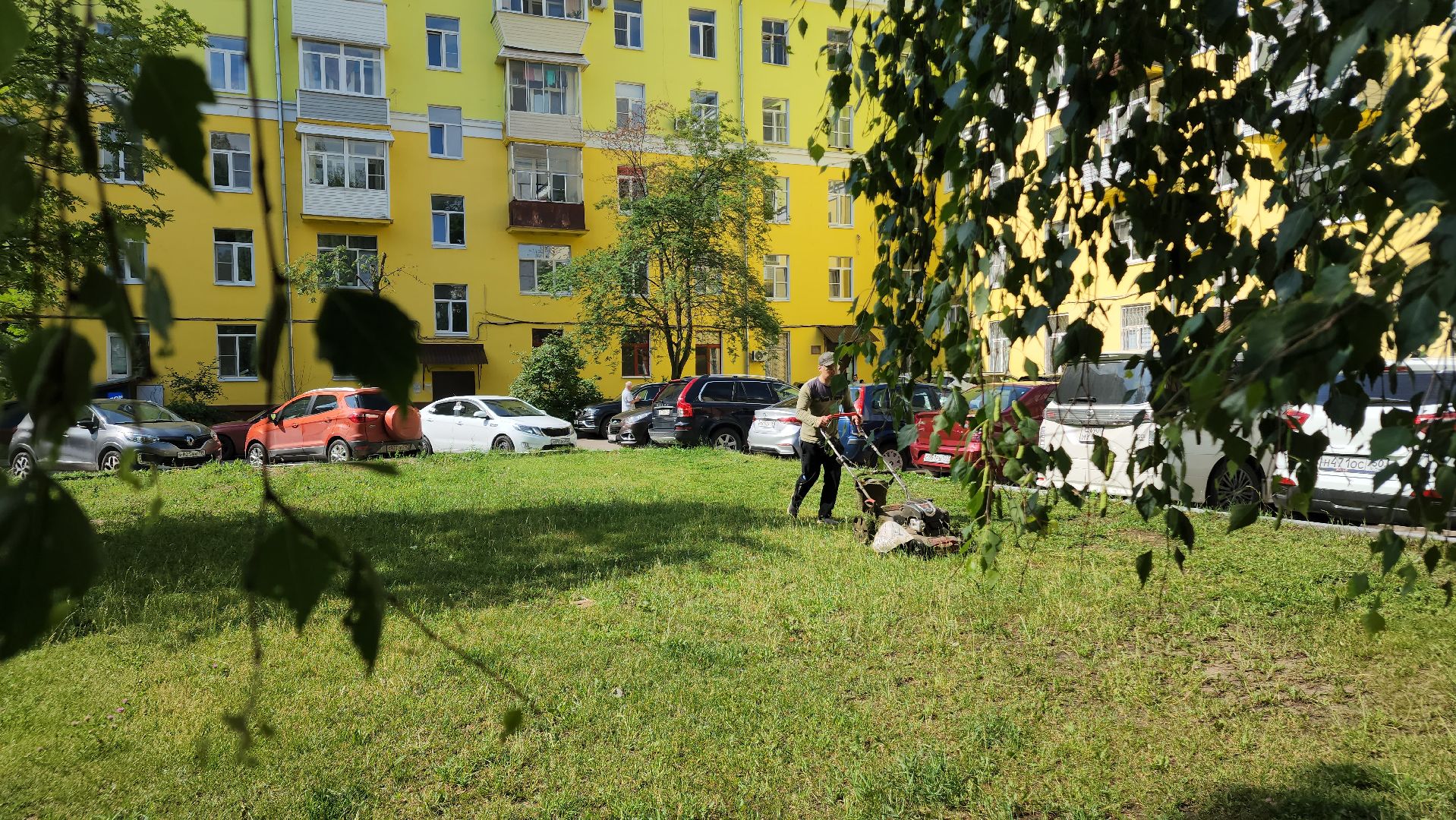 ступино, благоустройство, окос травы,