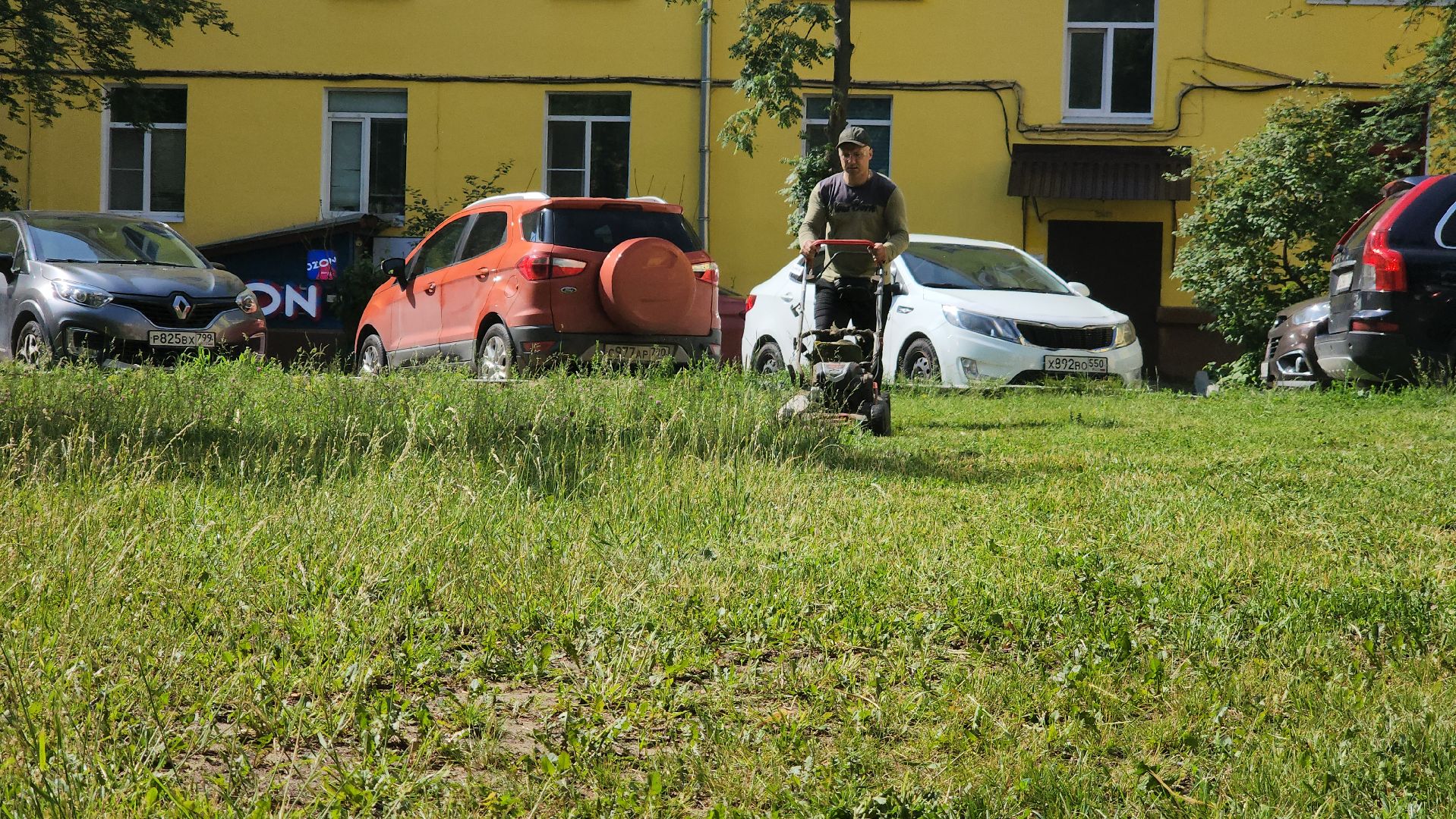 ступино, благоустройство, окос травы,