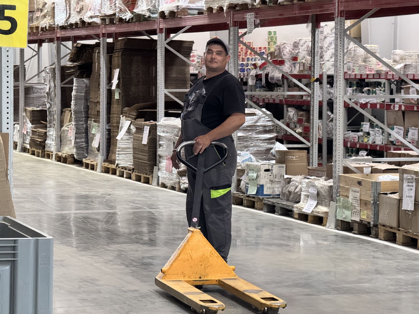 шаховская, завод, новые рабочие места,