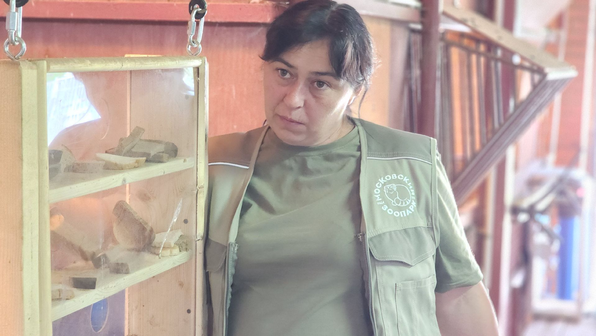 жираф, волоколамск, центр воспроизводства редких видов животных,