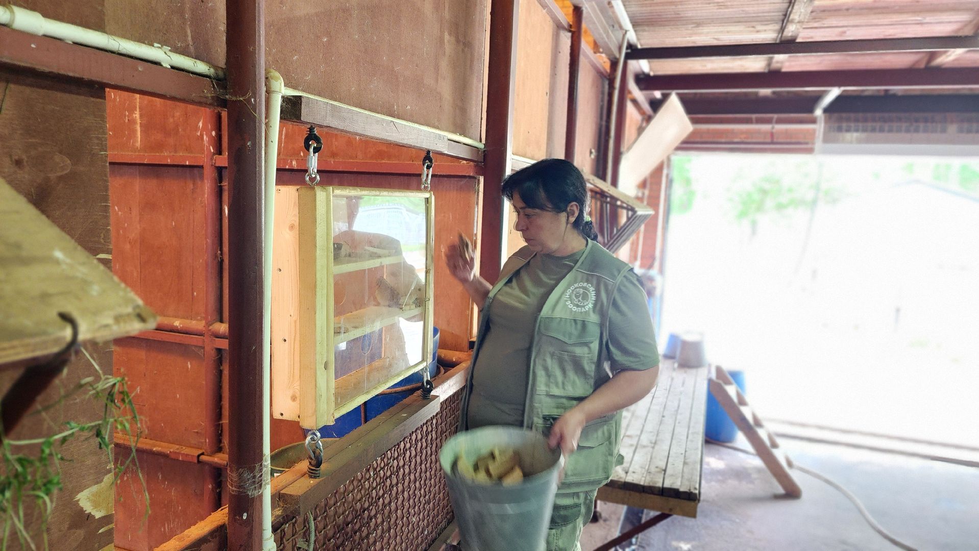 жираф, волоколамск, центр воспроизводства редких видов животных,