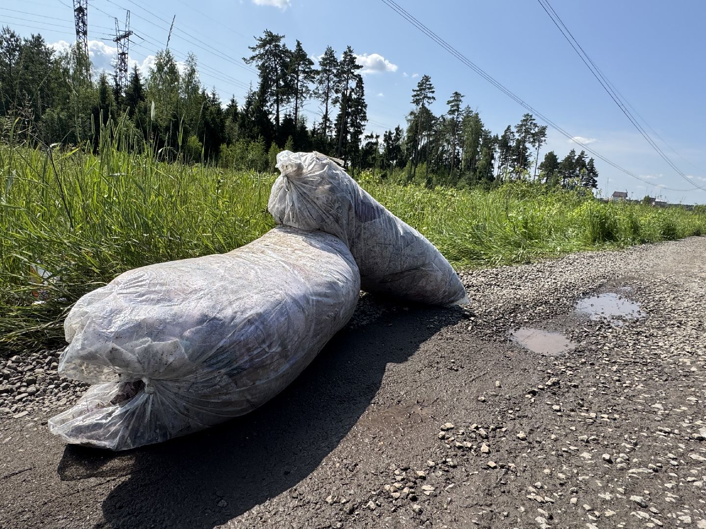 свалка мусора, полтевское шоссе, балашиха,