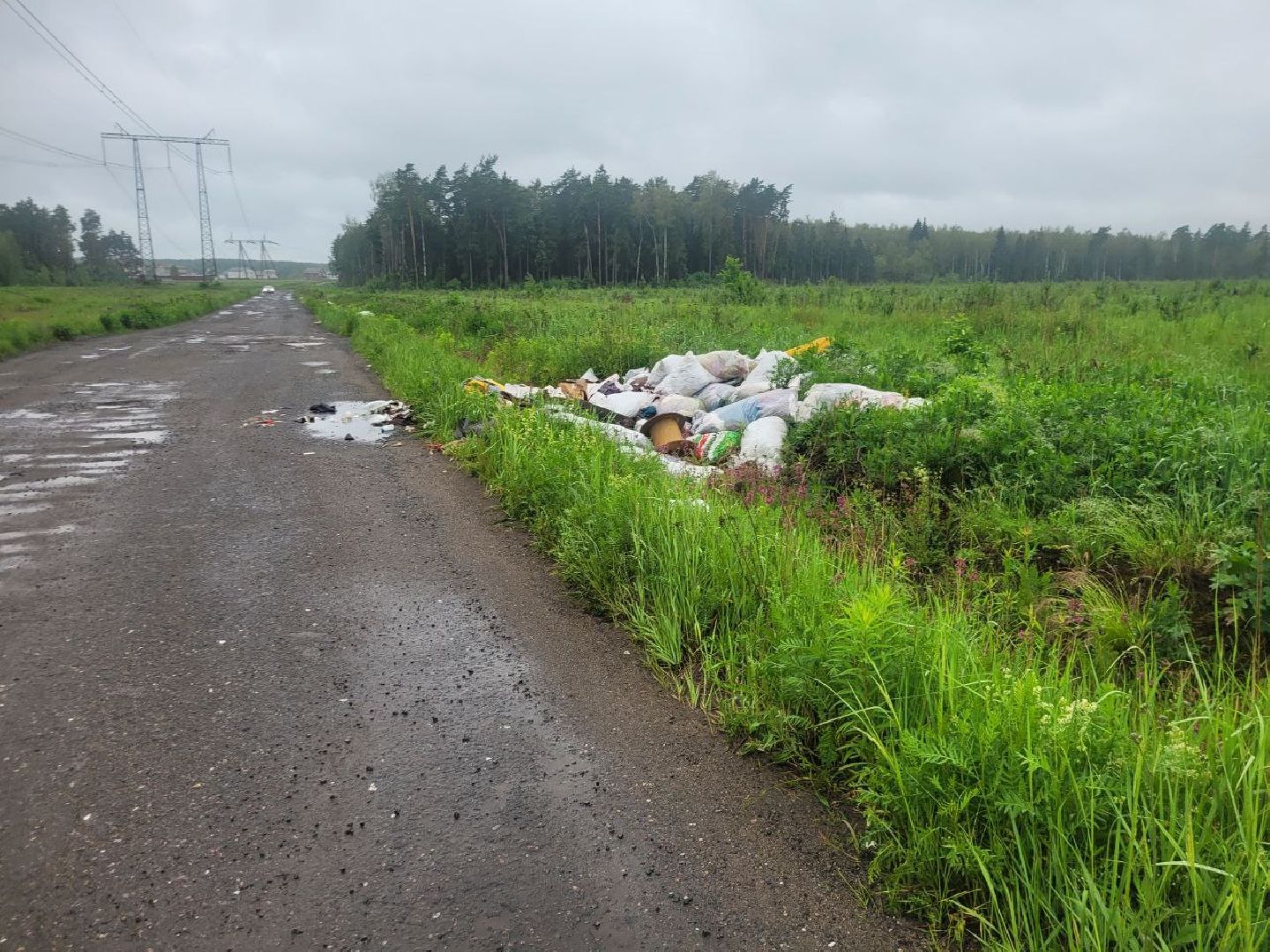 свалка мусора, полтевское шоссе, балашиха,