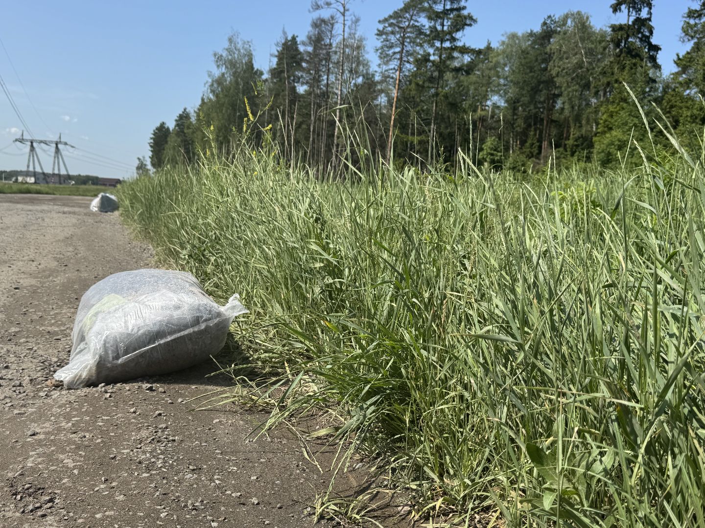 свалка мусора, полтевское шоссе, балашиха,