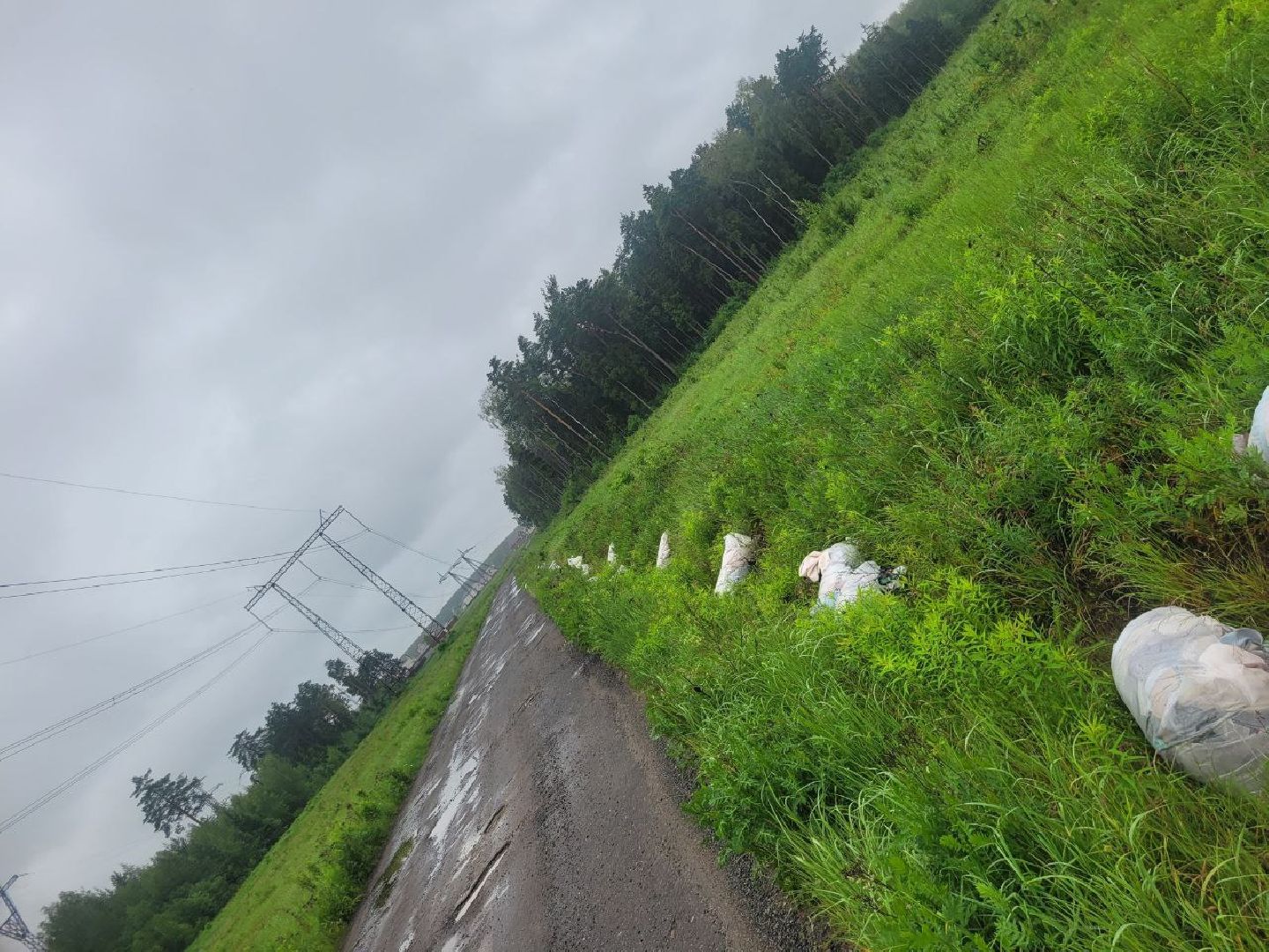 свалка мусора, полтевское шоссе, балашиха,