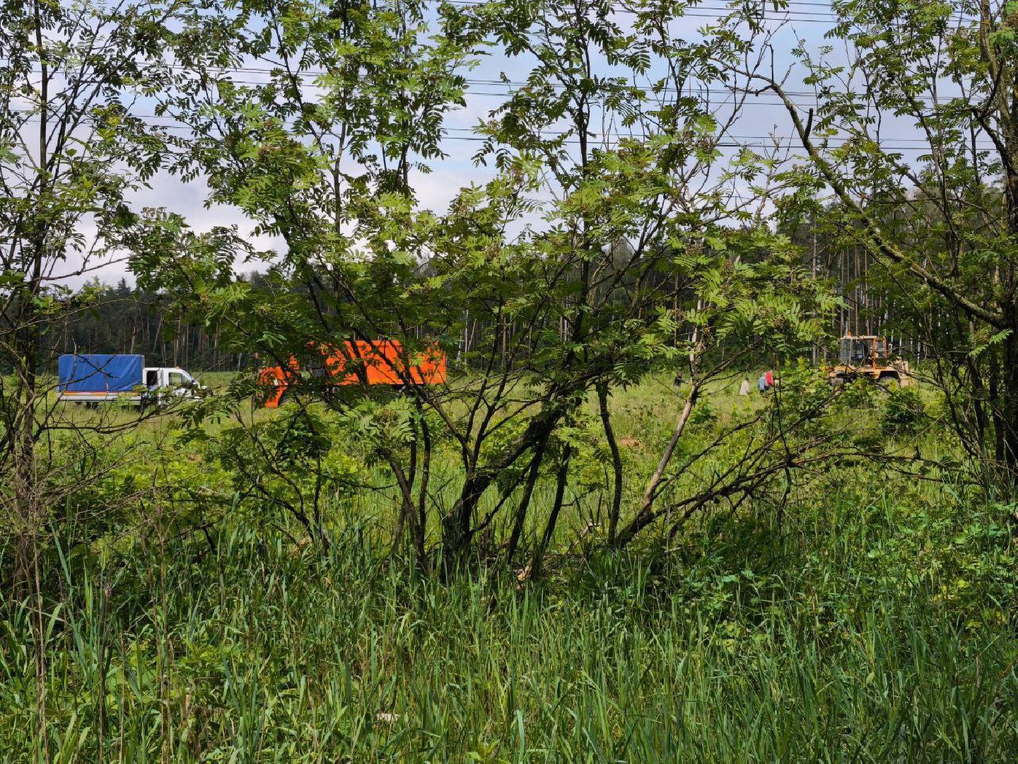 свалка мусора, полтевское шоссе, балашиха,