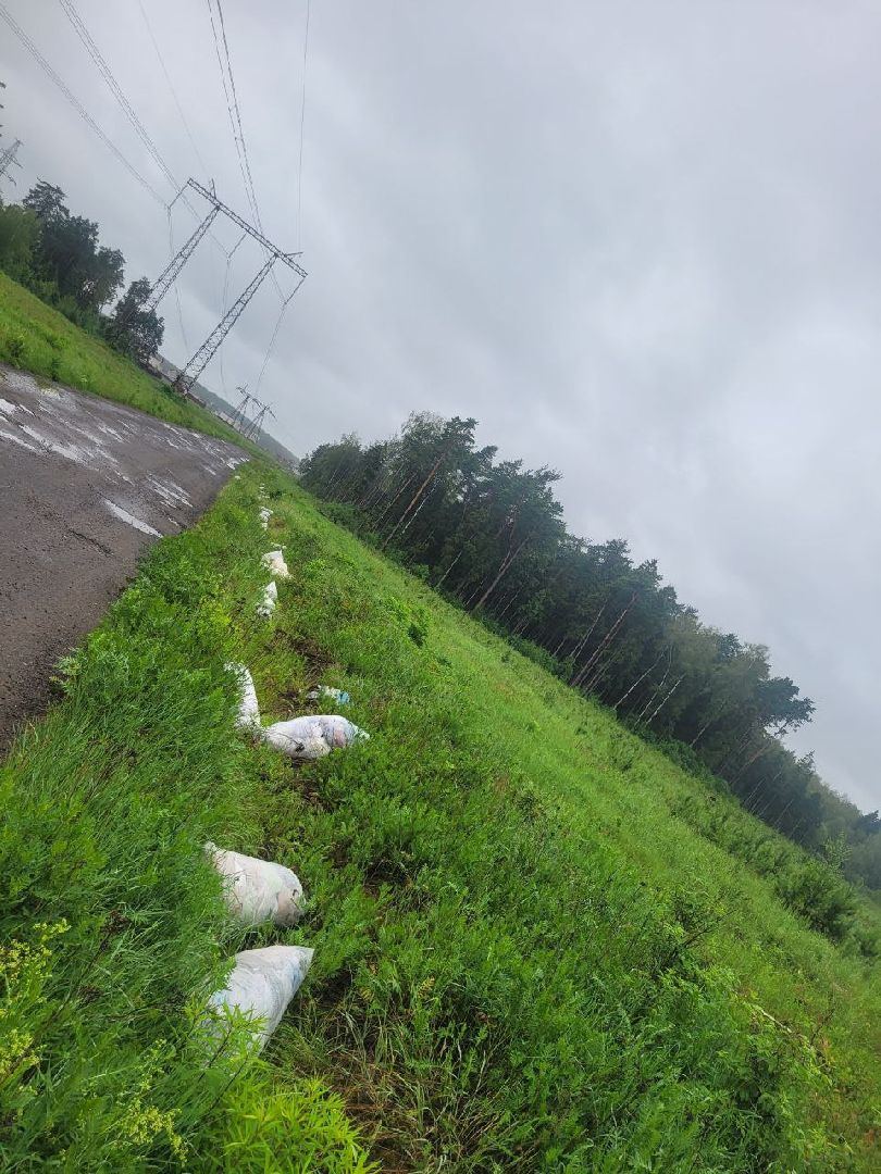 свалка мусора, полтевское шоссе, балашиха,