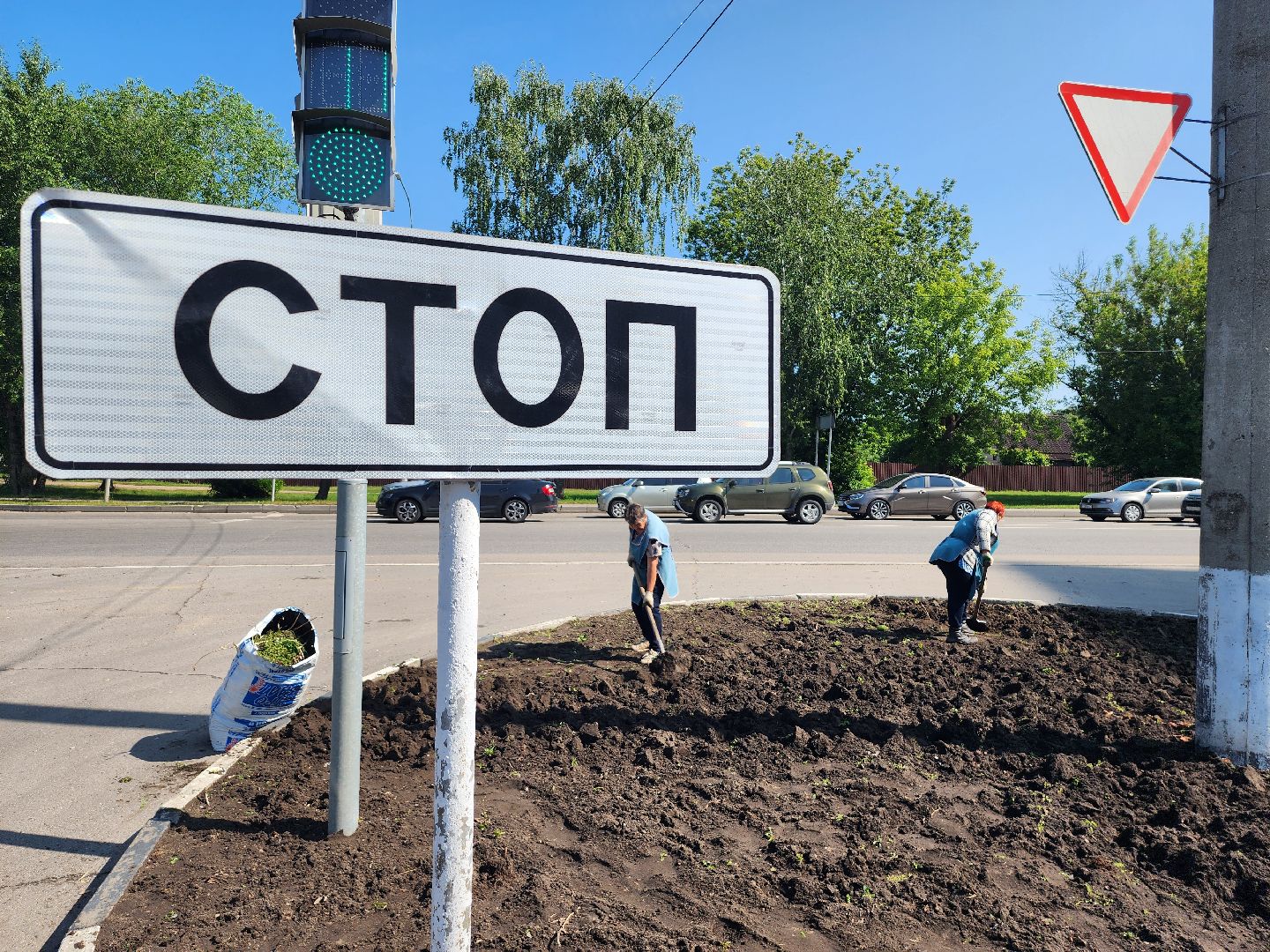 серпухов, городские клумбы, комбинат благоустройства, летние цветы, улица центральная,