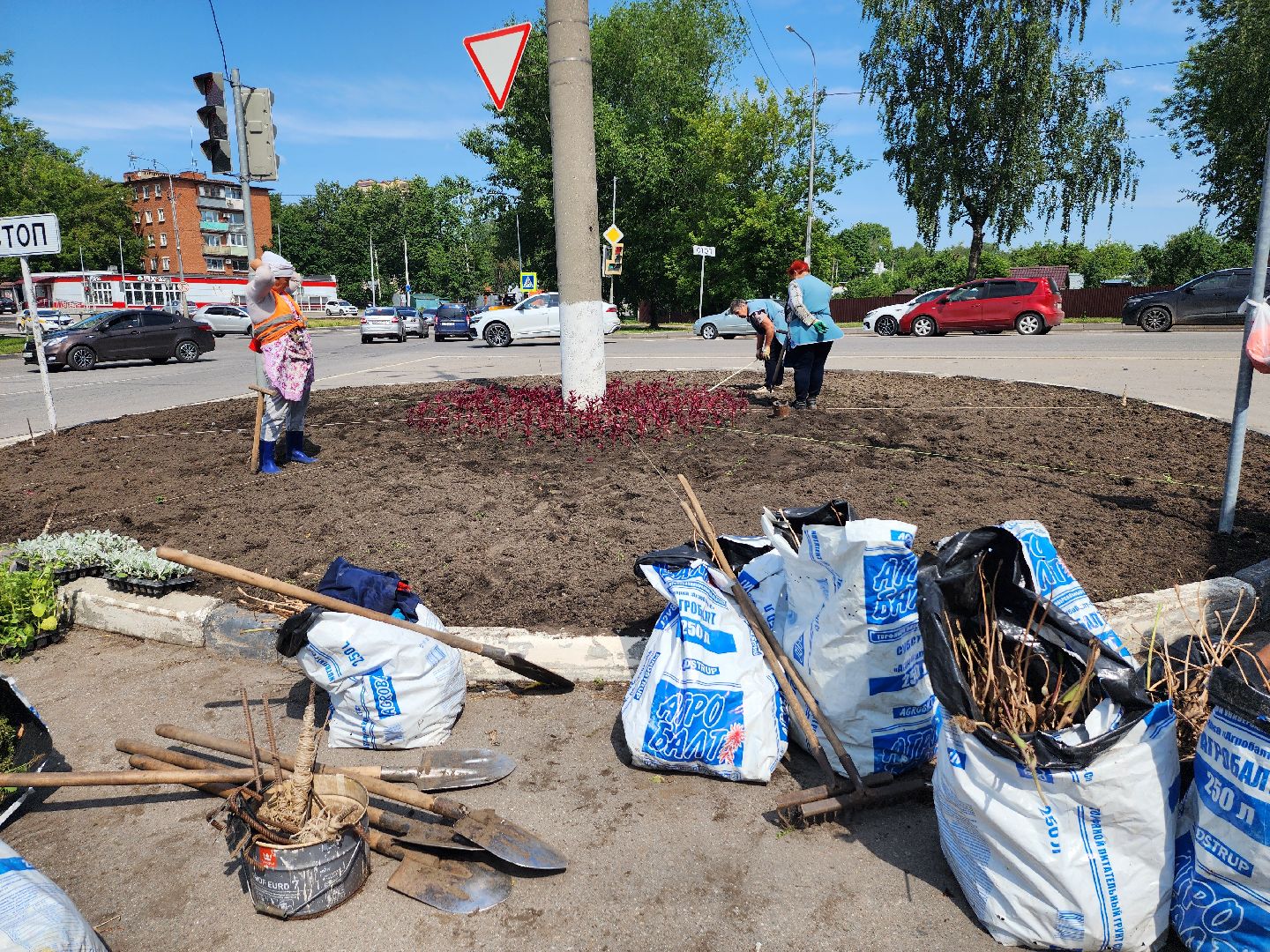 серпухов, городские клумбы, комбинат благоустройства, летние цветы, улица центральная,