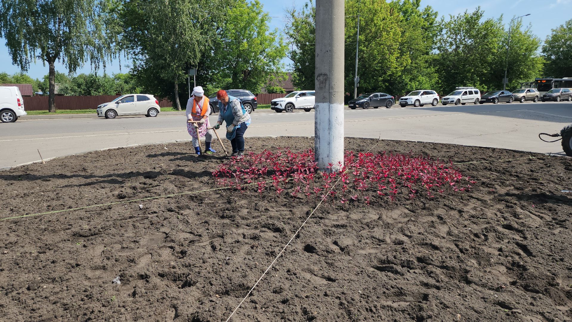 серпухов, городские клумбы, комбинат благоустройства, летние цветы, улица центральная,