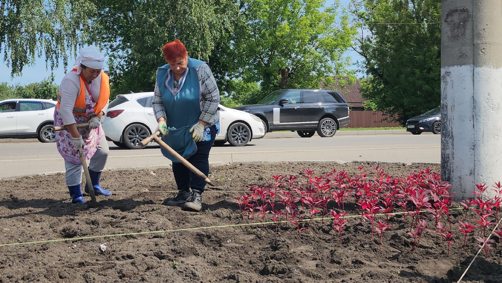 серпухов, городские клумбы, комбинат благоустройства, летние цветы, улица центральная,