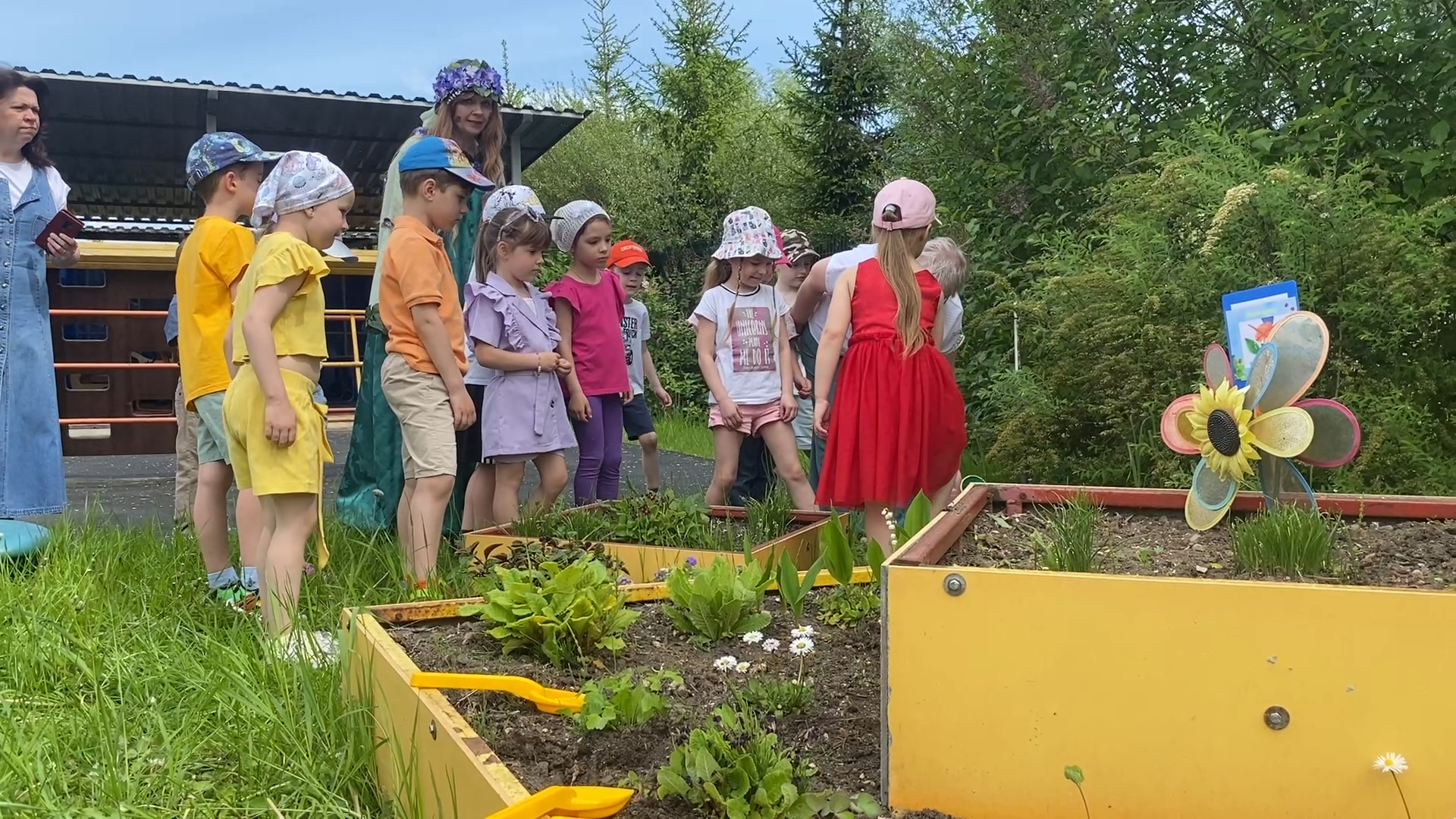 экология, дошкольники власихи, экотропа в детском саду, занятия с детьми, экологический квест,