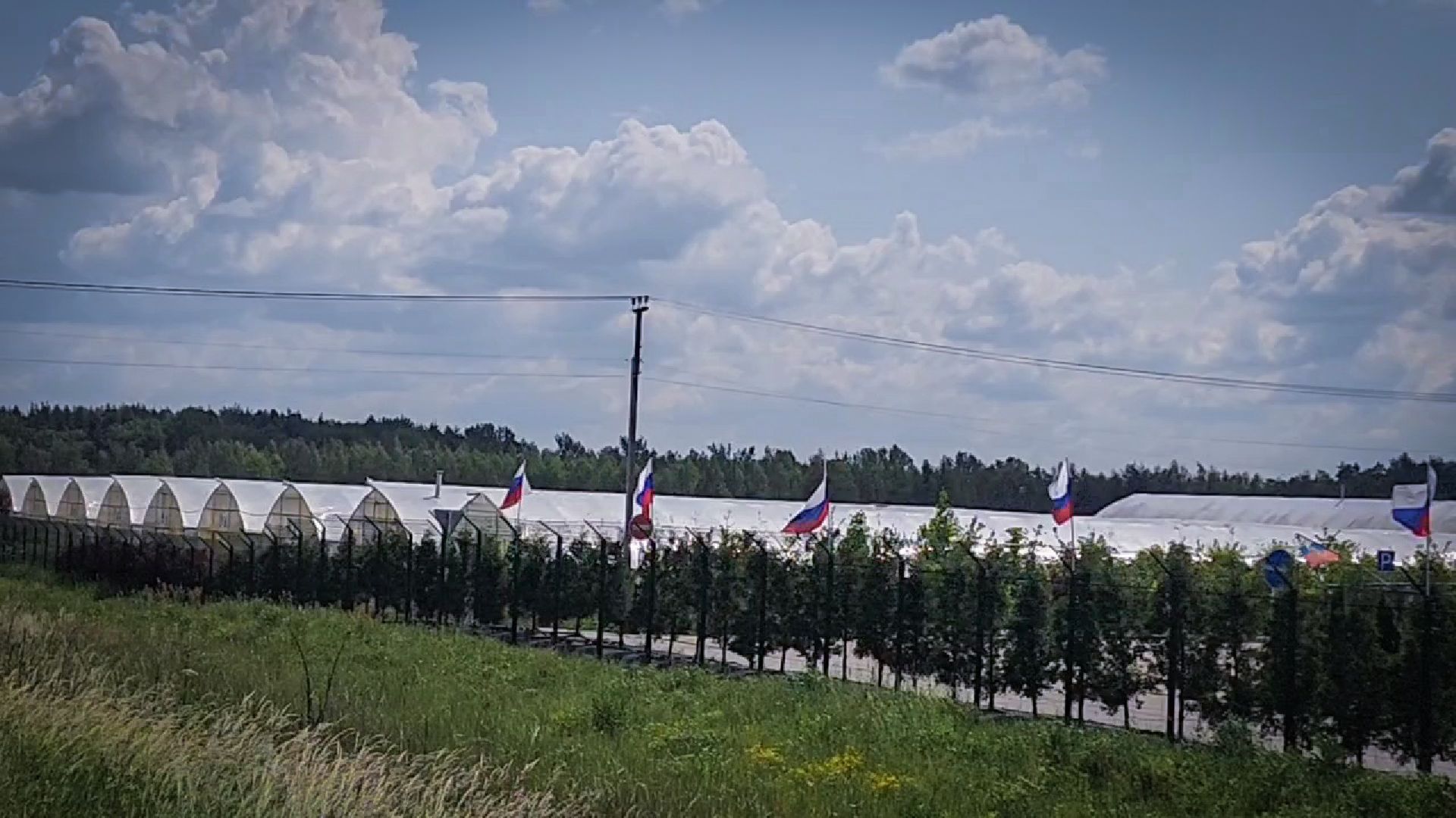 раменский округ, питомник растений,цветочная компания харченко, садовый центр бояркино,