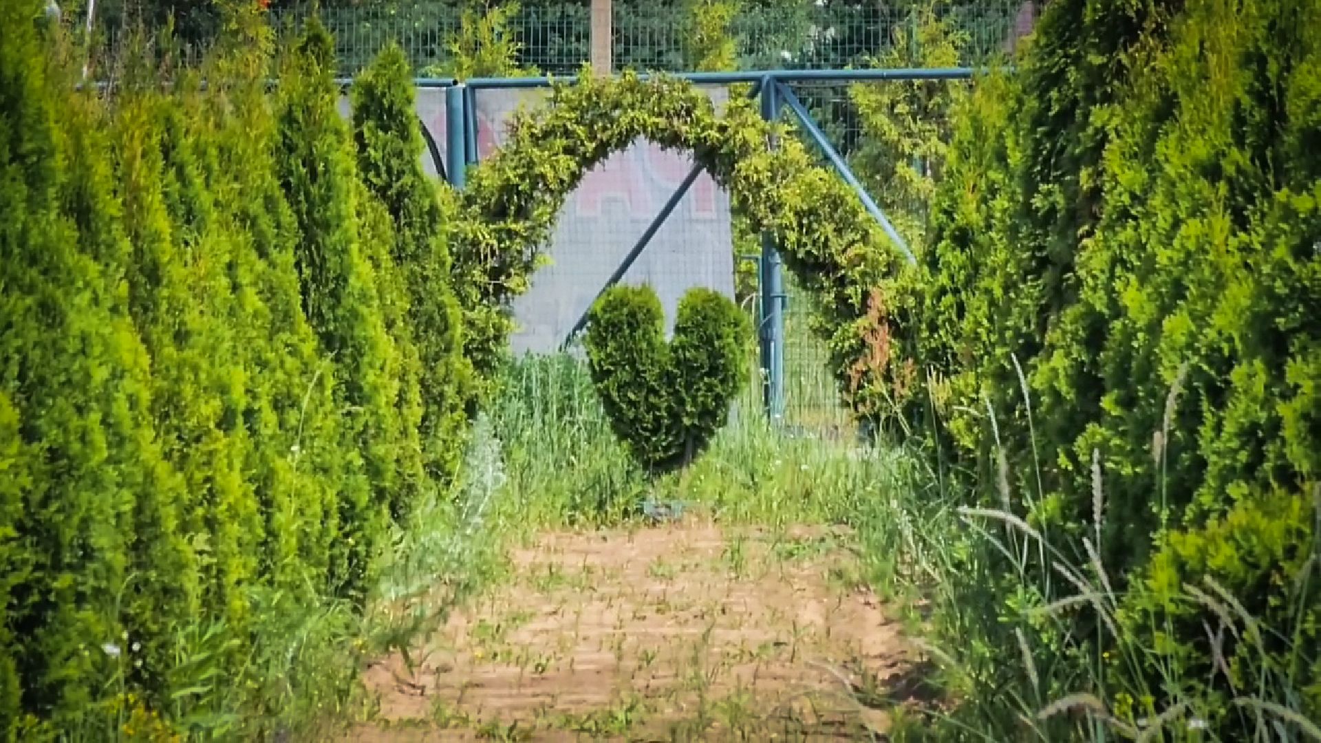 раменский округ, питомник растений,цветочная компания харченко, садовый центр бояркино,
