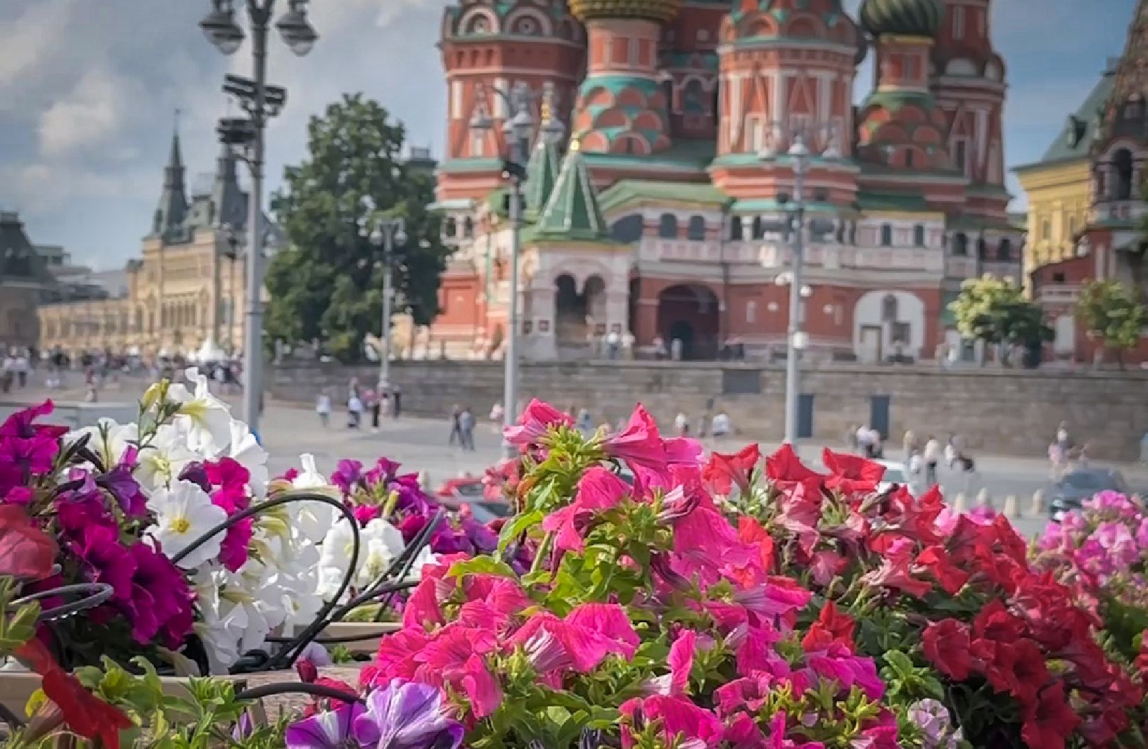 раменский округ, питомник растений,цветочная компания харченко, садовый центр бояркино,