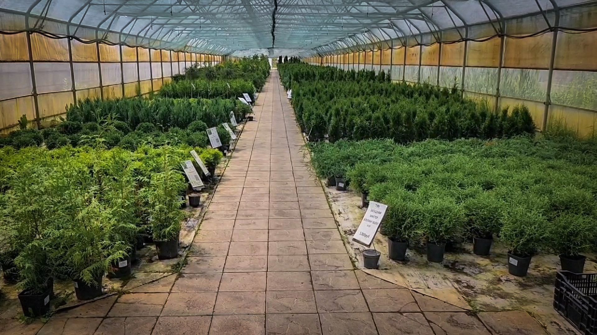 раменский округ, питомник растений,цветочная компания харченко, садовый центр бояркино,