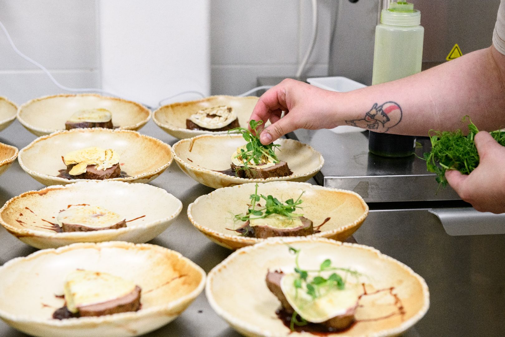 лыткарино, общество, ботаника, карьер волкуша, ботаника на песках, общепит,