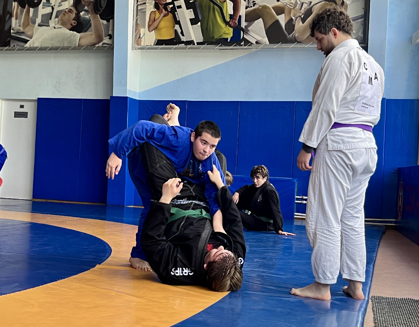 наро-фоминск, наро-фоминский городской округ, кск нара, максим самсонов, грэпплинг, спортивный лагерь,