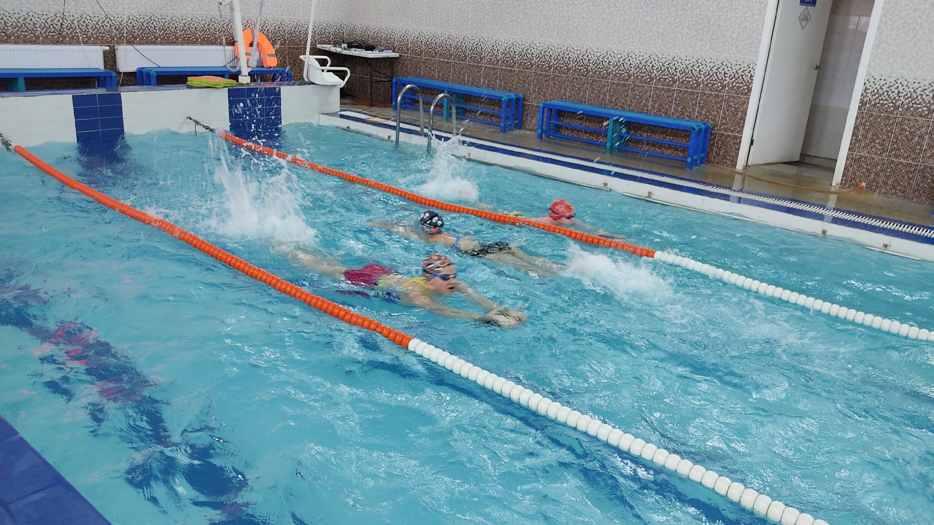 Лобня, спорт, плавание