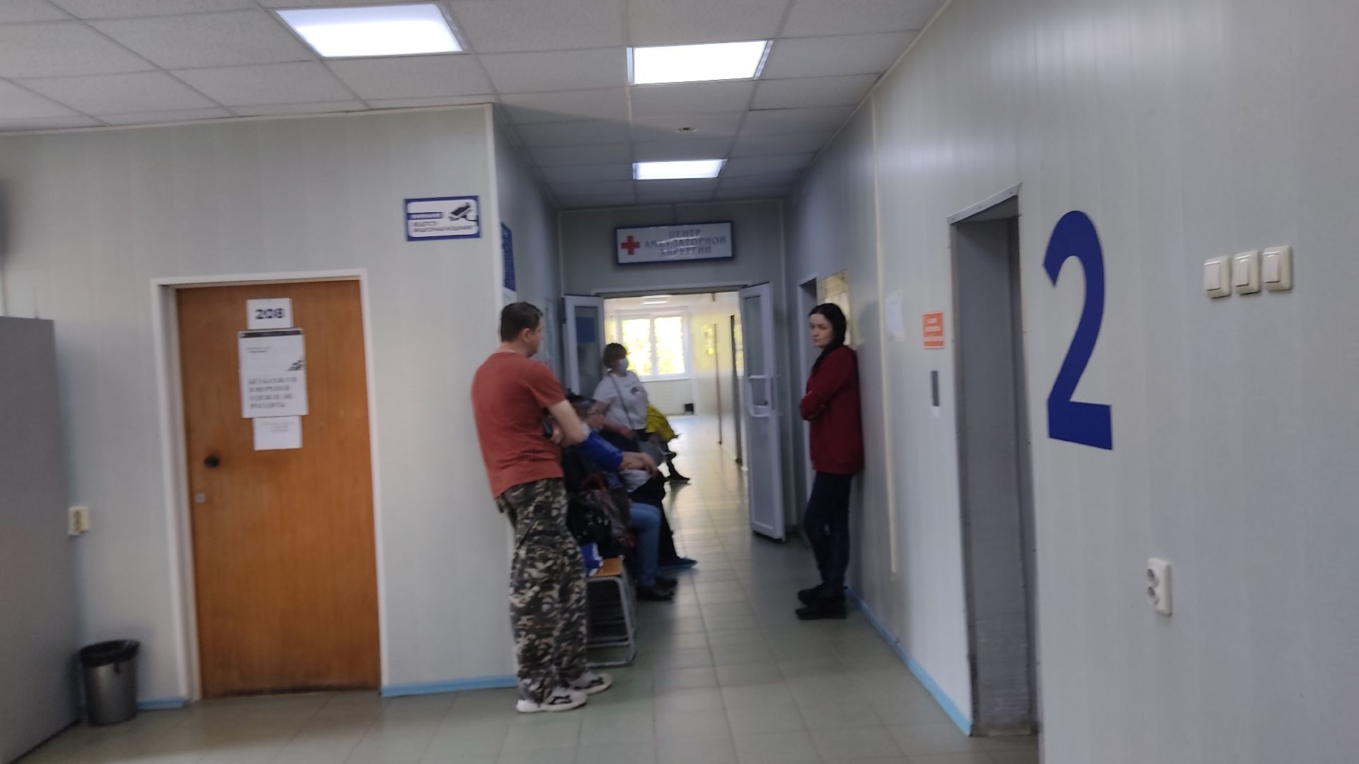 Лобня, медицина, аллергия