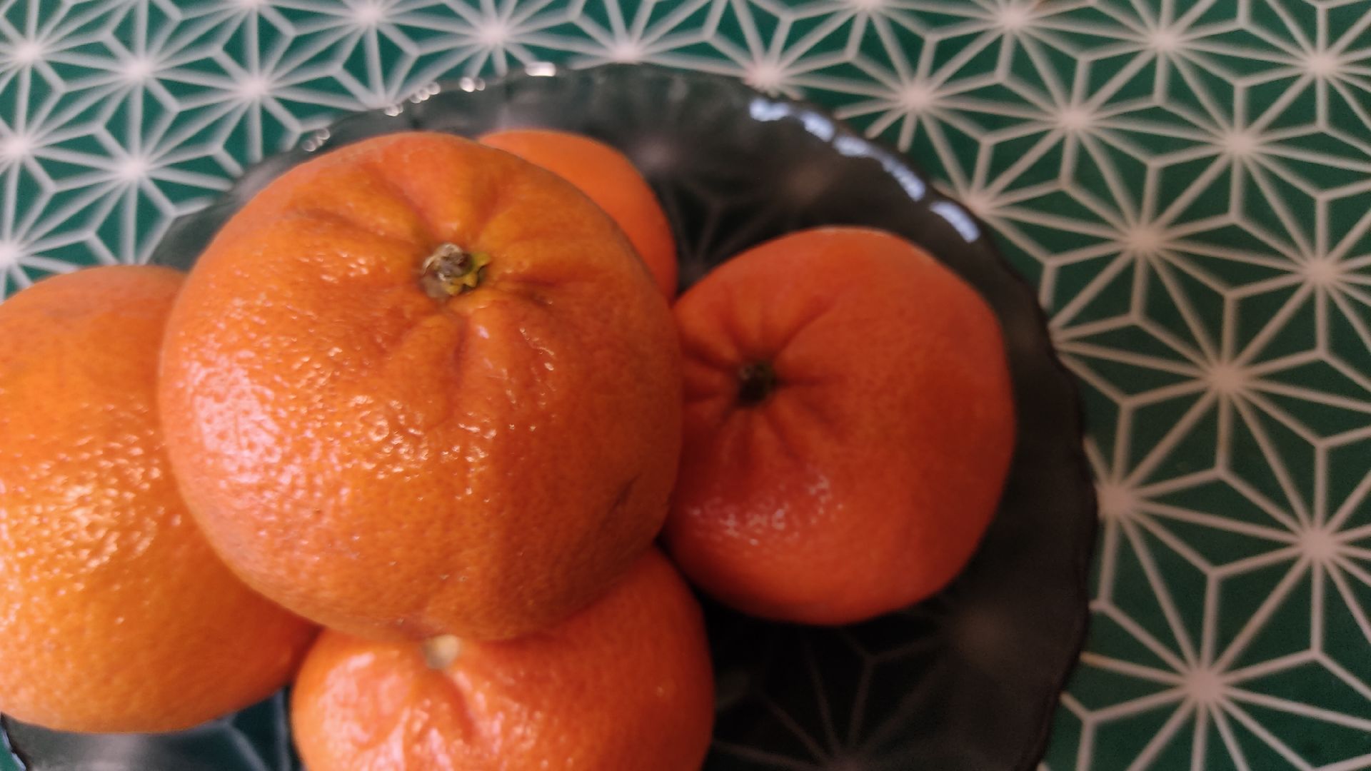 Лобня, медицина, аллергия