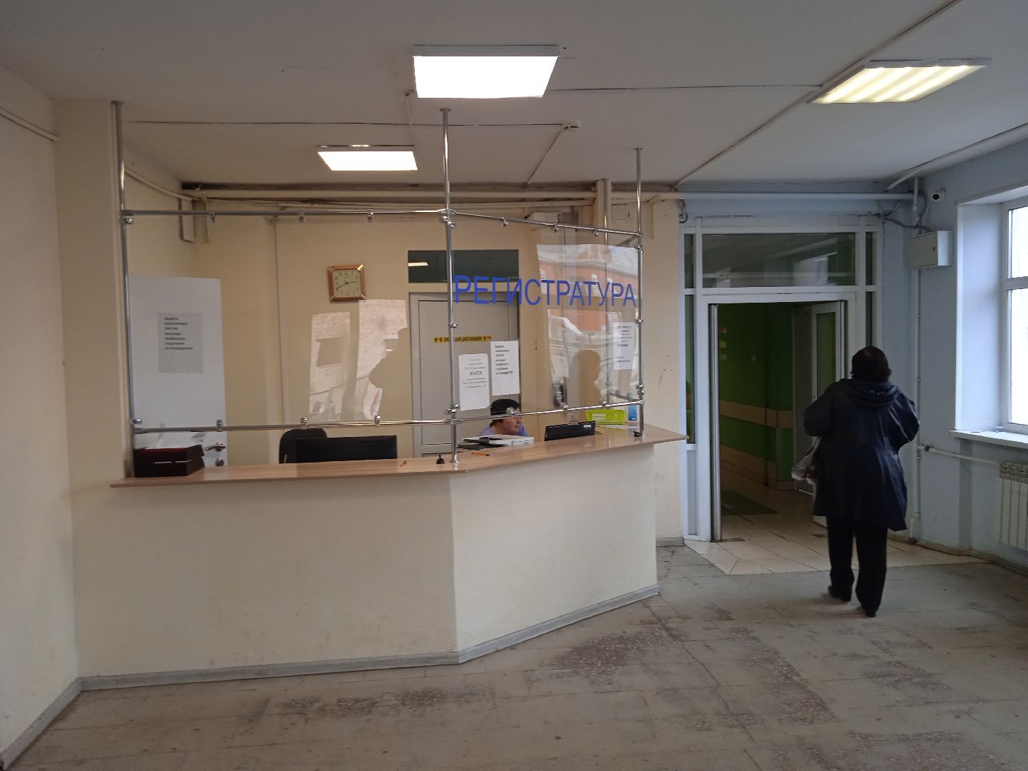 клещи, активность, боррелиоз, болезнь, лайма, энцефалит, Жуковский