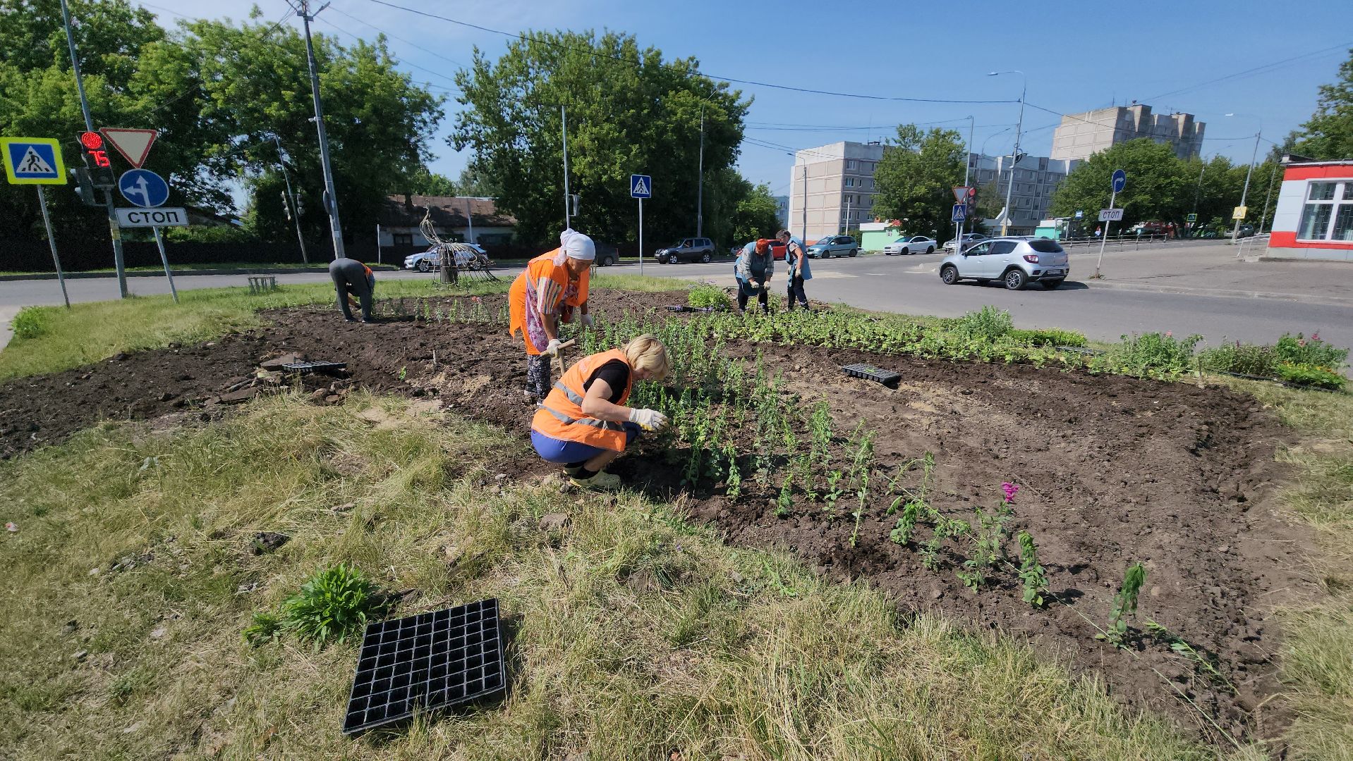 серпухов, борисовское шоссе, комбинат благоустройства, цветы на клумбе, городские цветы,