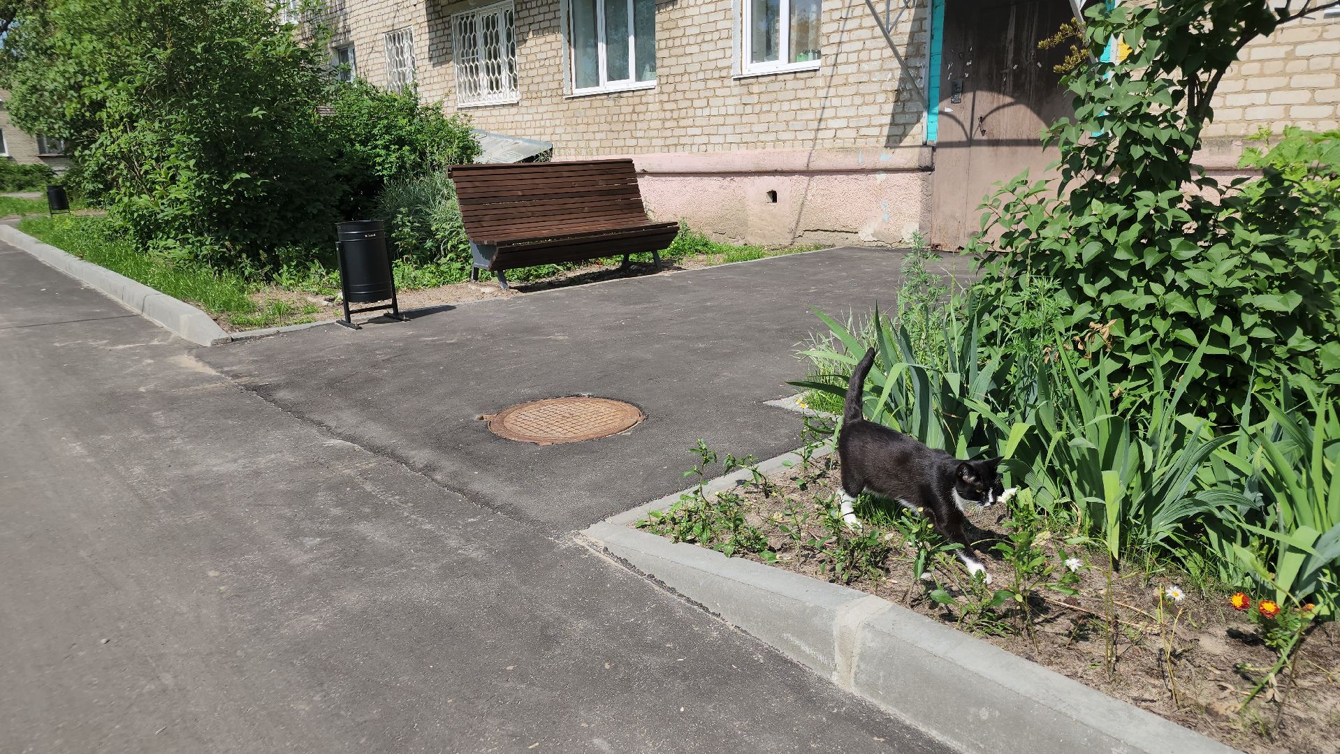 благоустройство дворов, орехово-зуевский округ, малая дубна,